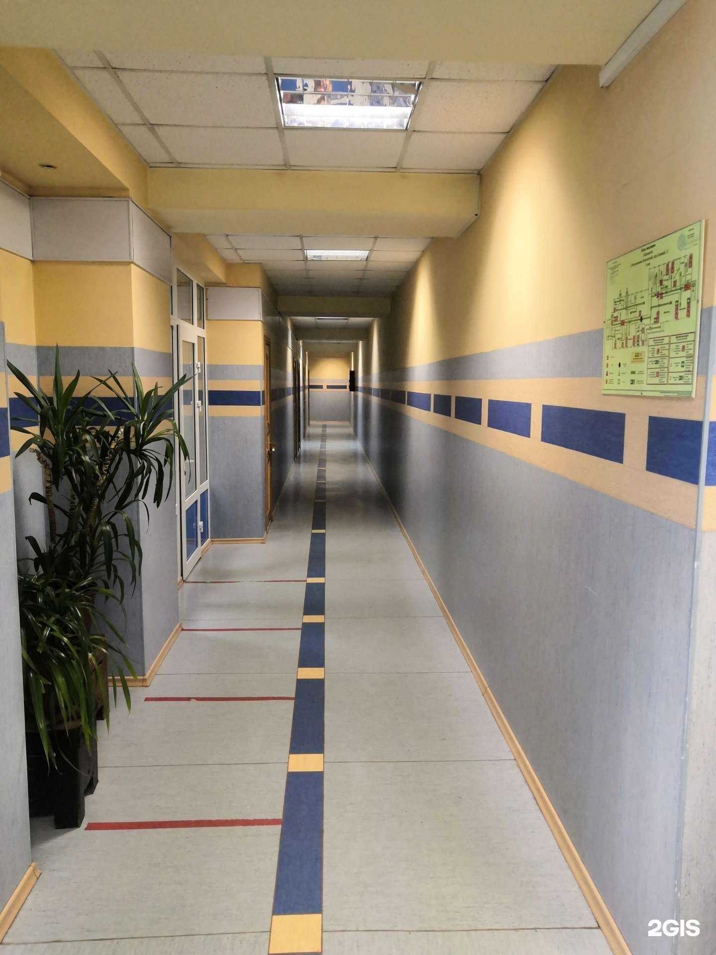 Отзывы на компанию Чайка в г. Петропавловск-Камчатский c фото