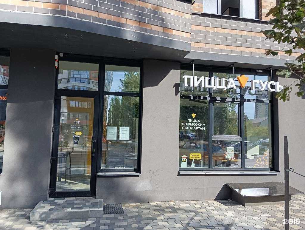 Отзывы на компанию Пицца Гусь в Воронеже c фото