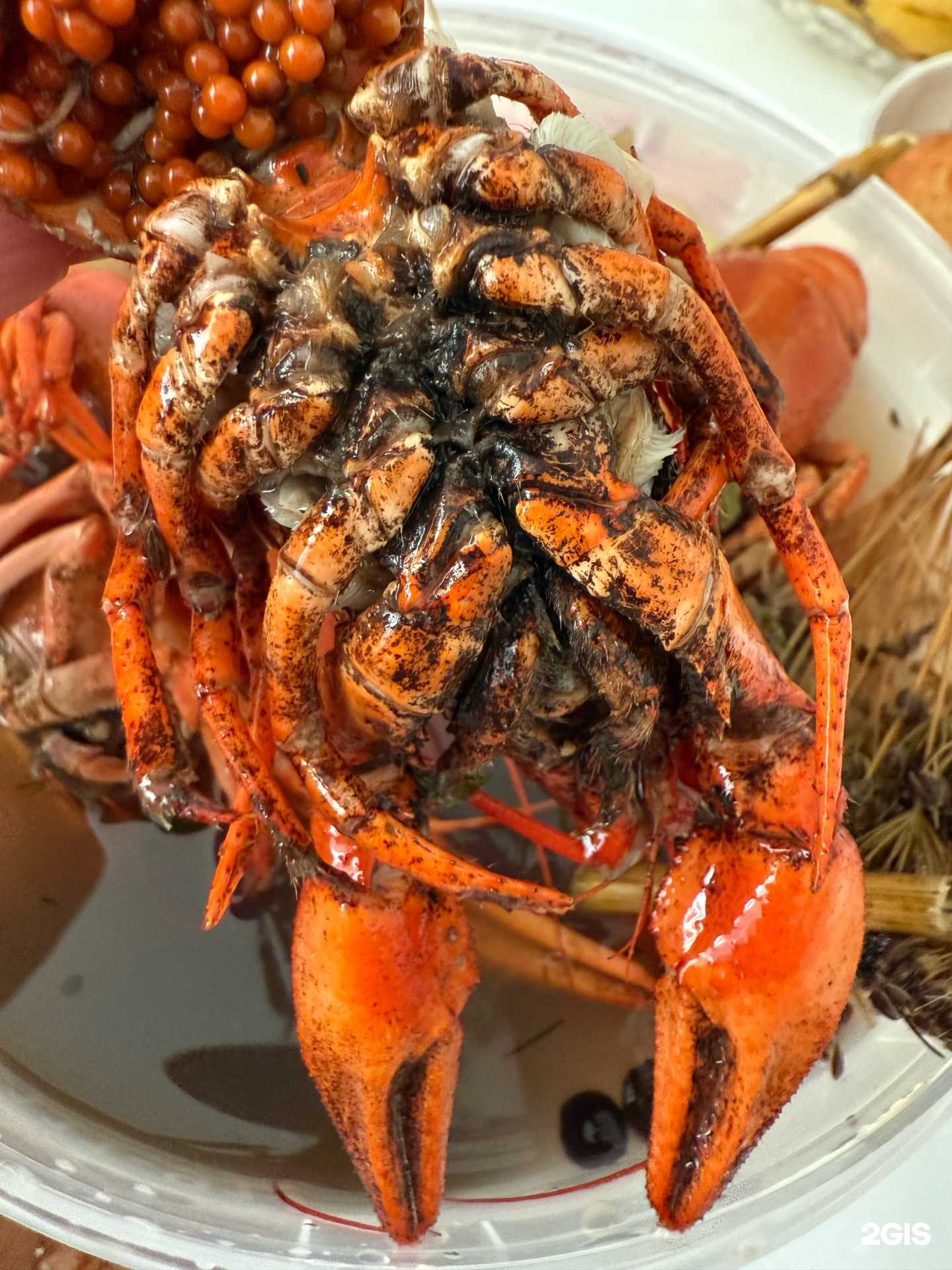 Отзывы на компанию Рак в Армавире c фото