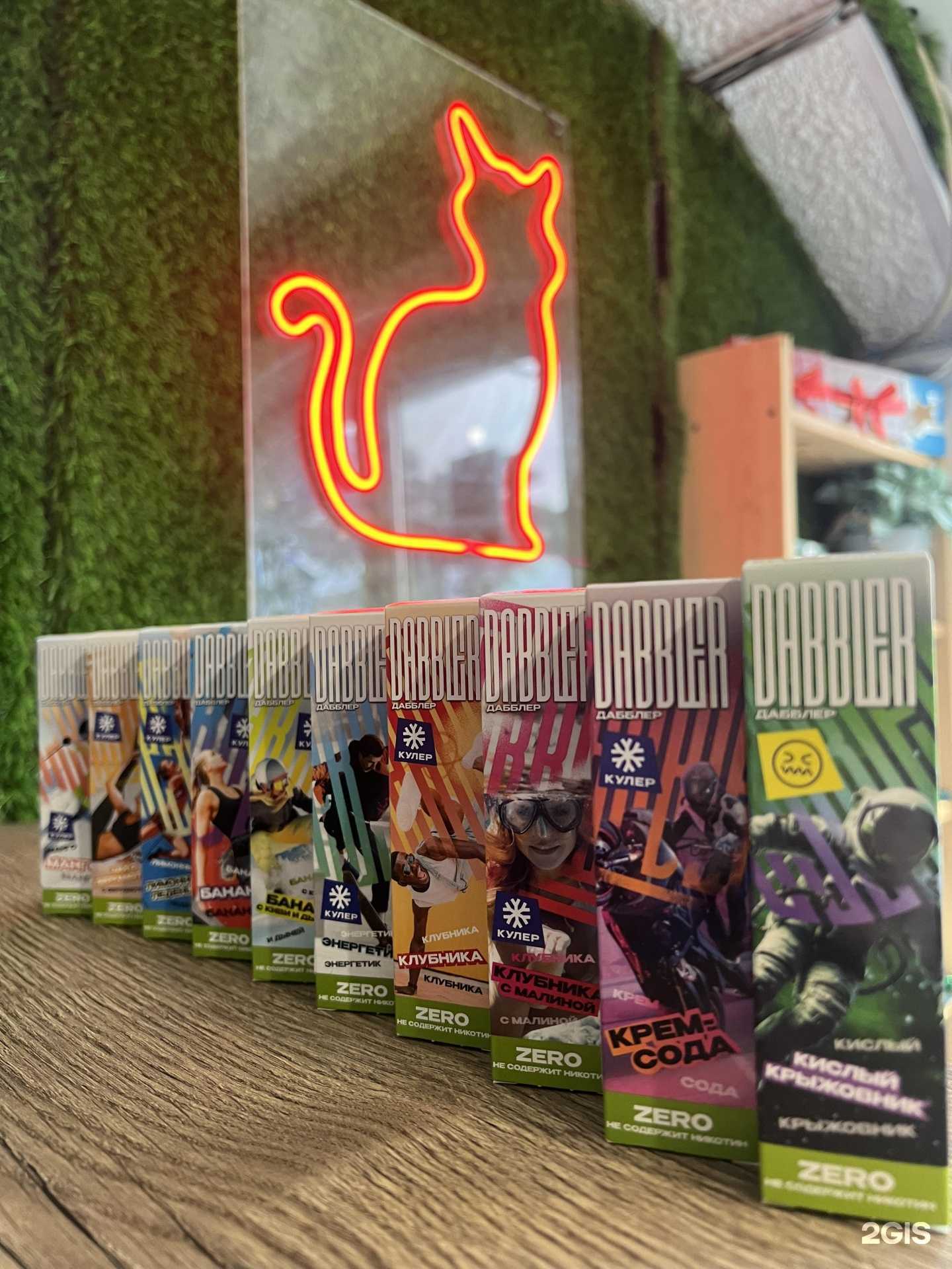 Отзывы на компанию Кот в г. Геленджик c фото