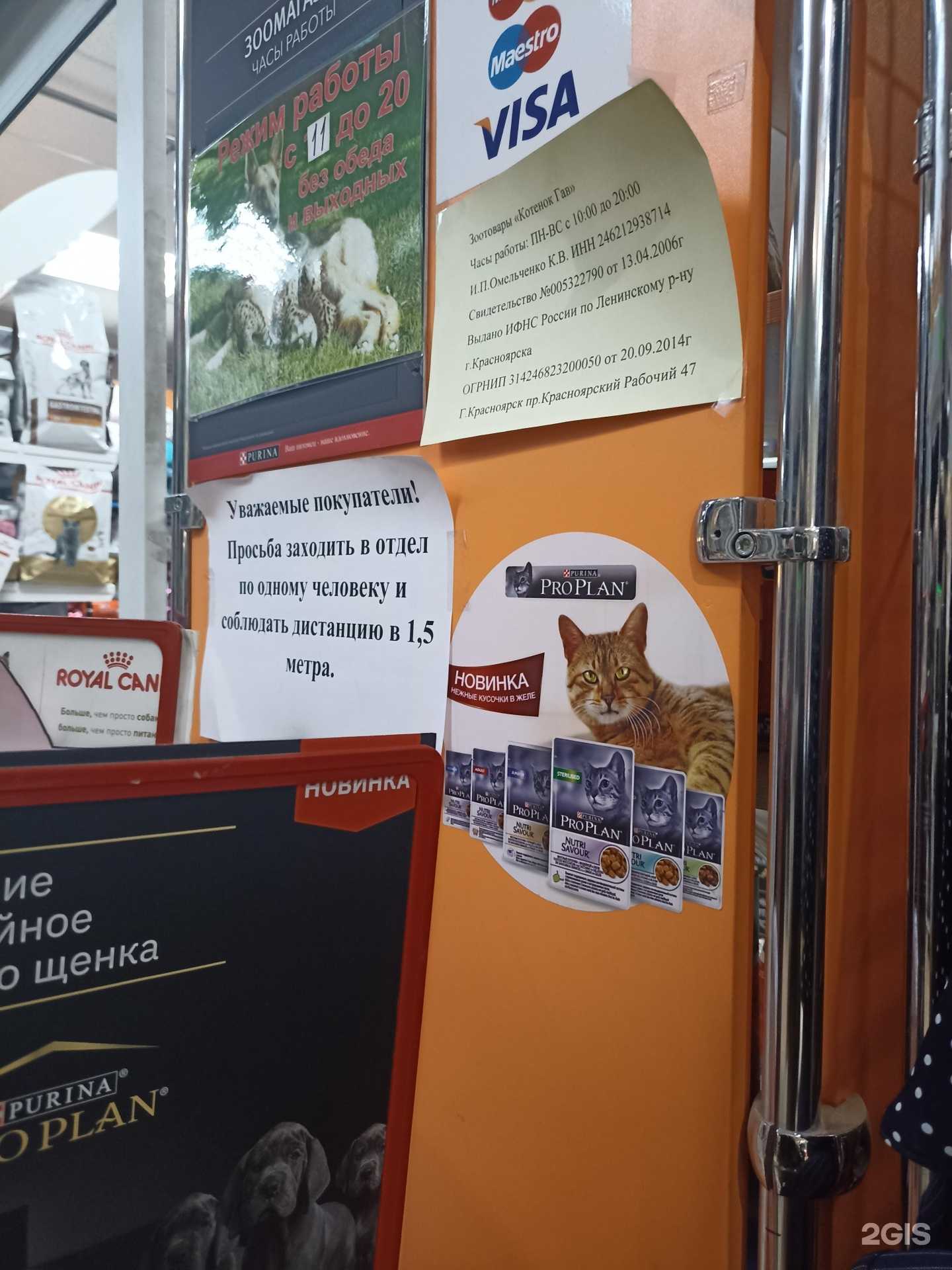 Отзывы на компанию Котенок Гав в г. Красноярск c фото