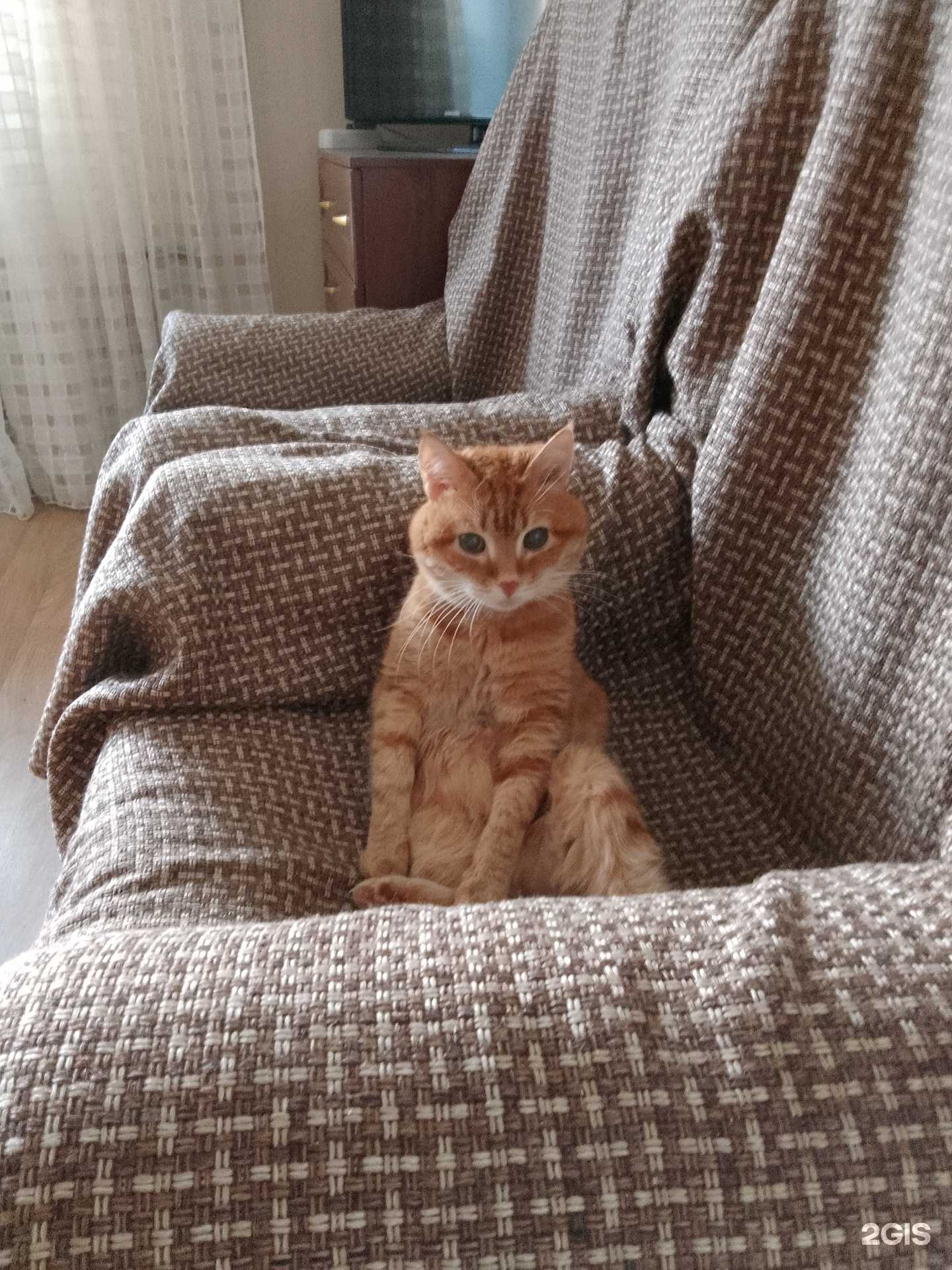 Отзывы на компанию Умка в г. Уфа c фото