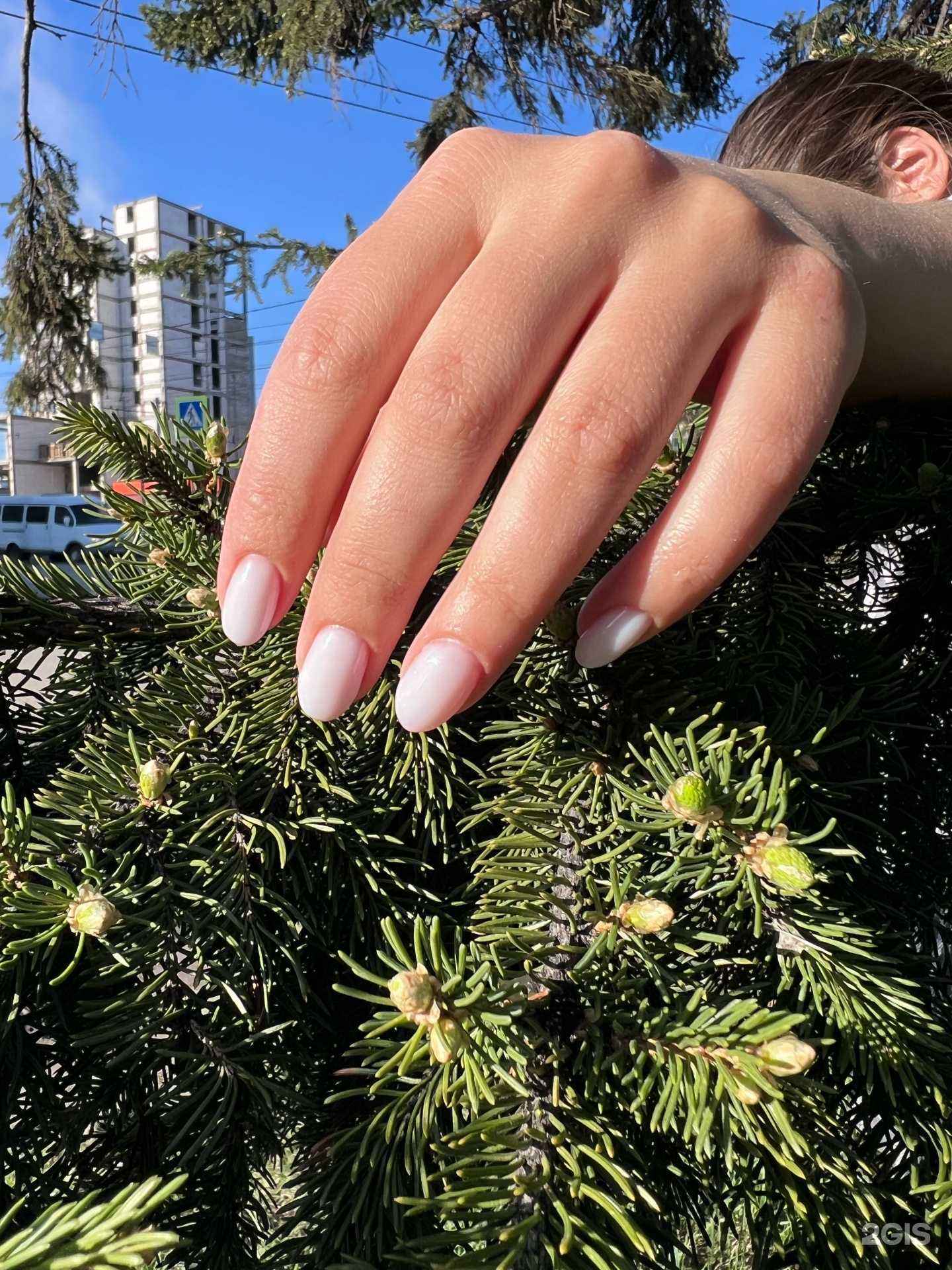 Отзывы на компанию Студия маникюра в г. Барнаул c фото