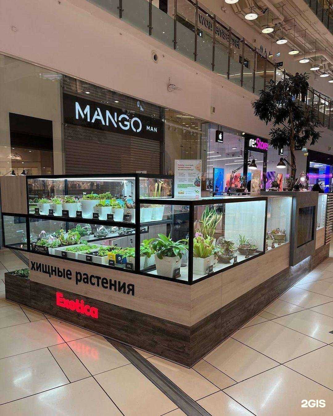 Отзывы на компанию Exotica в г. Коммунарка c фото