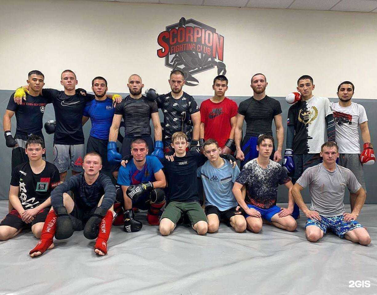 Отзывы на компанию Скорпион в Красноярске c фото