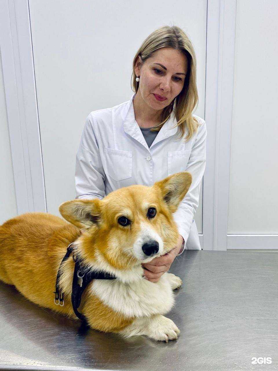 Отзывы на компанию Умка в Солнечногорске c фото