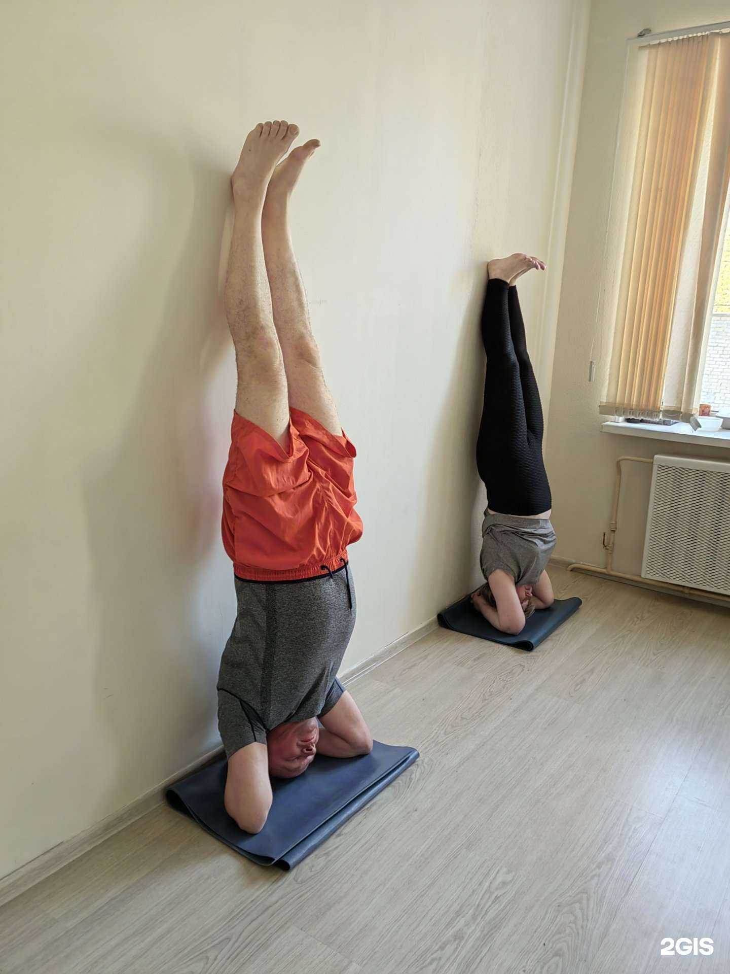 Отзывы на компанию Саттва в Перми c фото