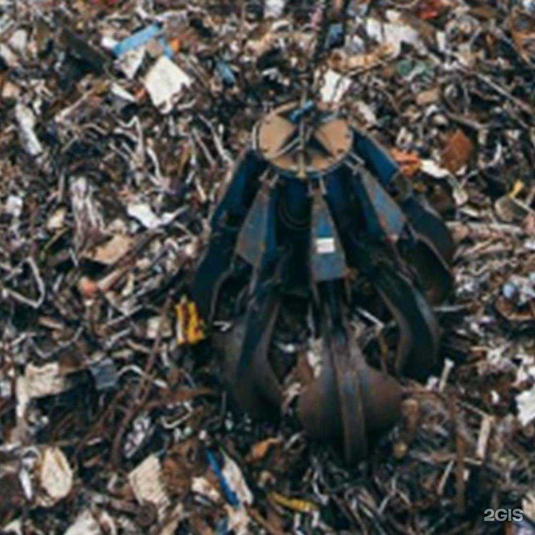 Отзывы на компанию Кремний 39 в Светлом c фото