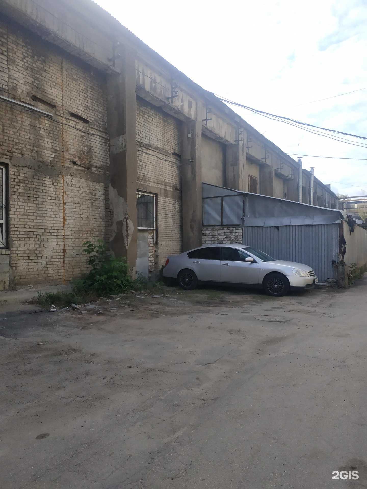 Отзывы на компанию Белый друг в Нижнем Новгороде c фото - фотография 2 из 2