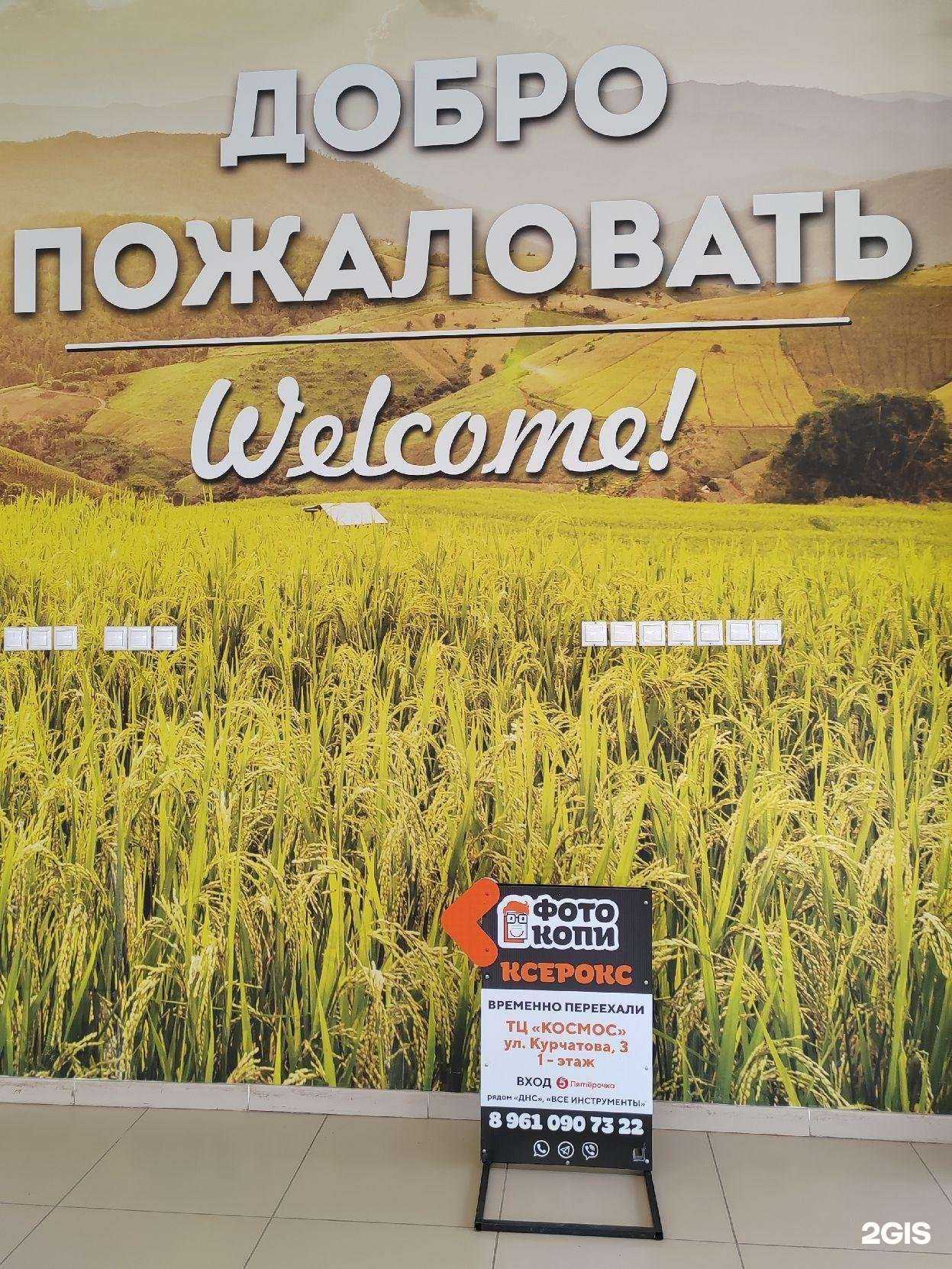 Отзывы на компанию Фото-Копи в Волгограде c фото