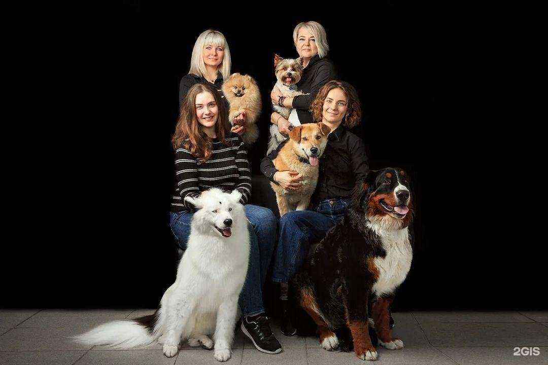 Отзывы на компанию Компания по предоставлению услуг фотосъемки с лошадьми в Екатеринбурге c фото