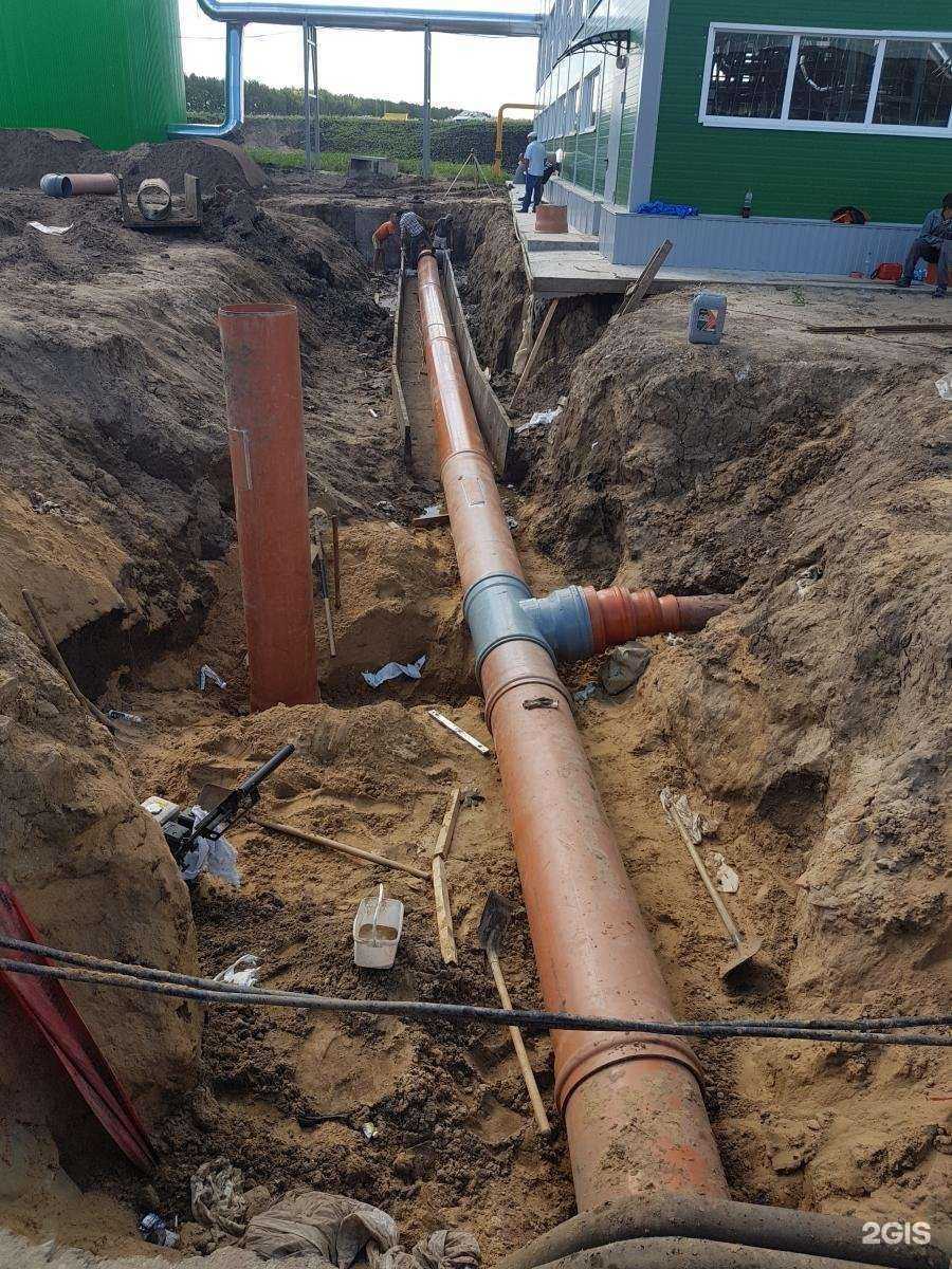 Отзывы на компанию Агроботаника в г. Воронеж c фото