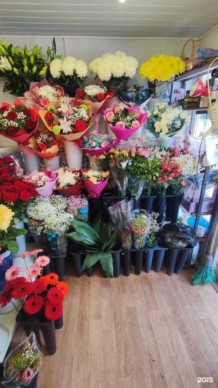 Отзывы на компанию Три сестры в Казани c фото