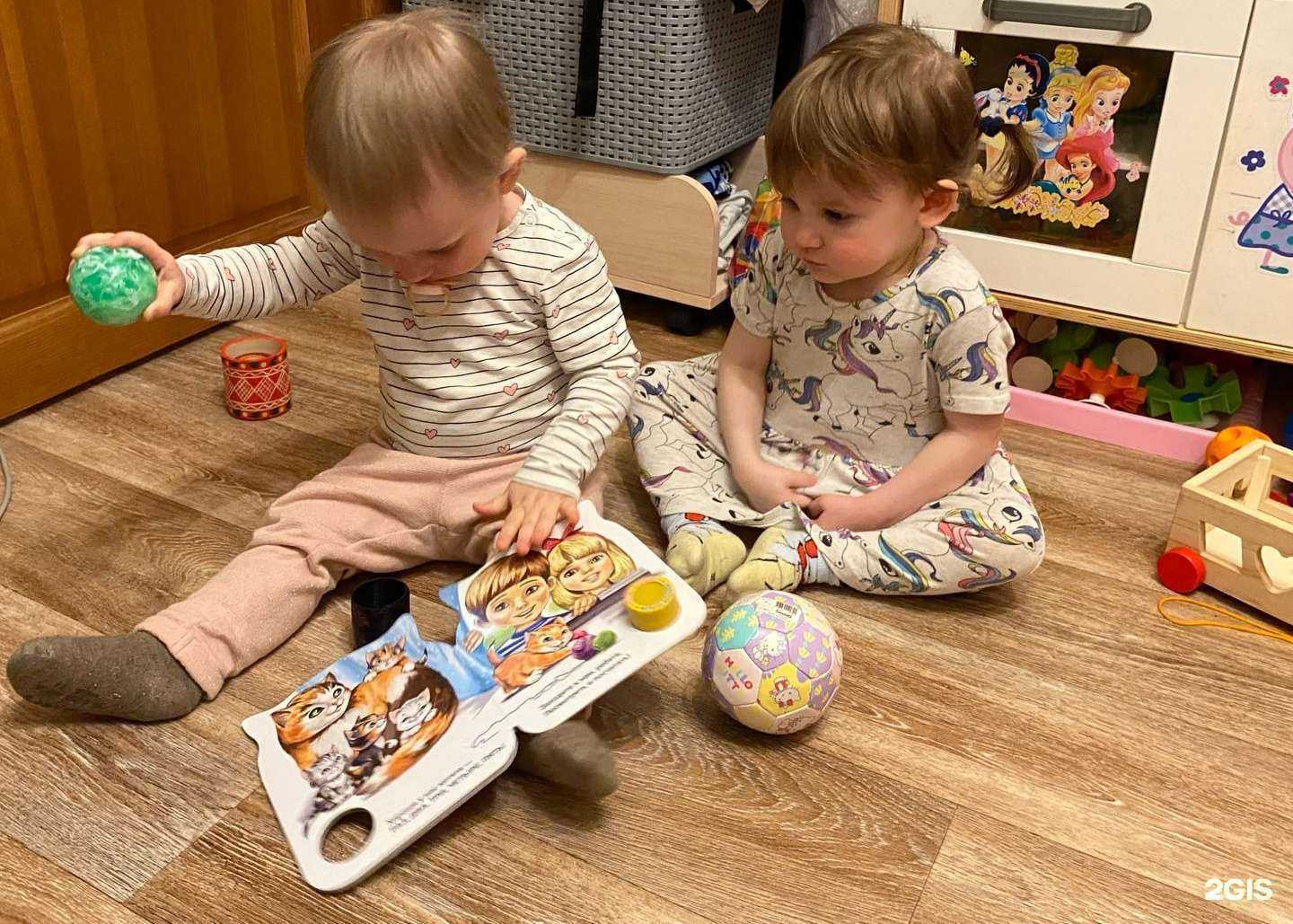 Отзывы на компанию Ёжики в г. Омск c фото