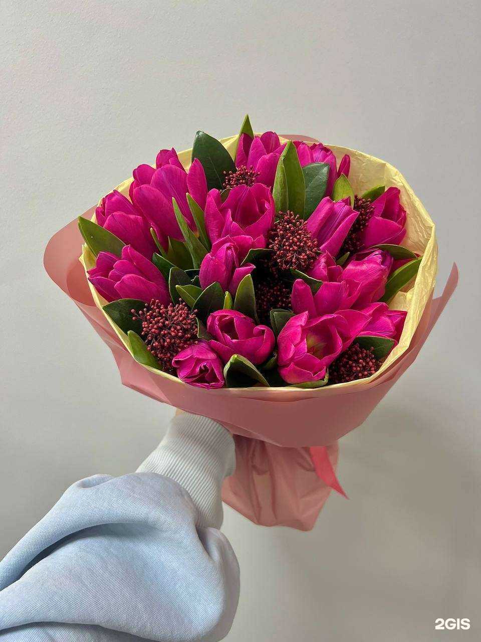 Отзывы на компанию Vetka в г. Чита c фото