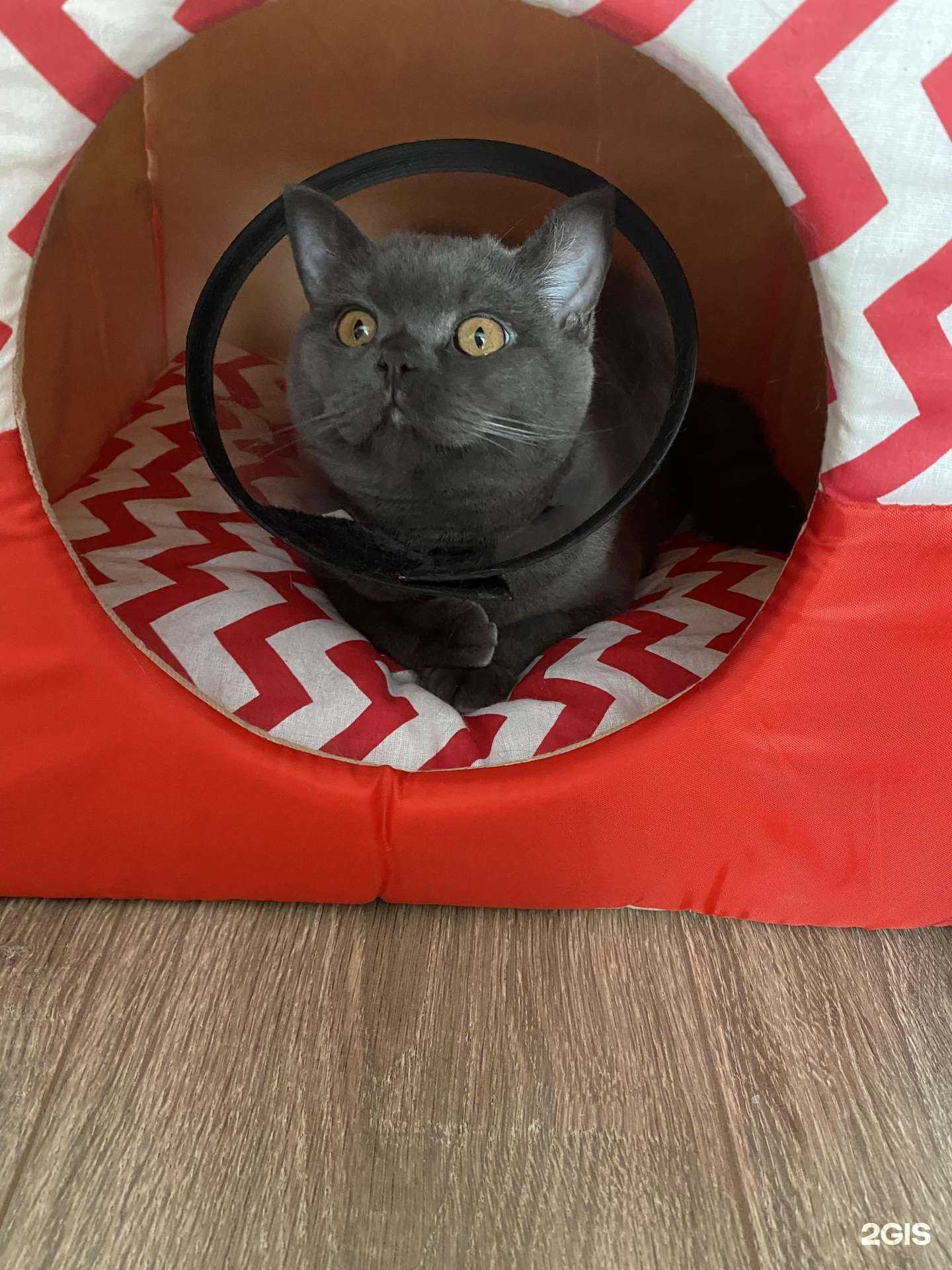 Отзывы на компанию ВетГарант в г. Барнаул c фото