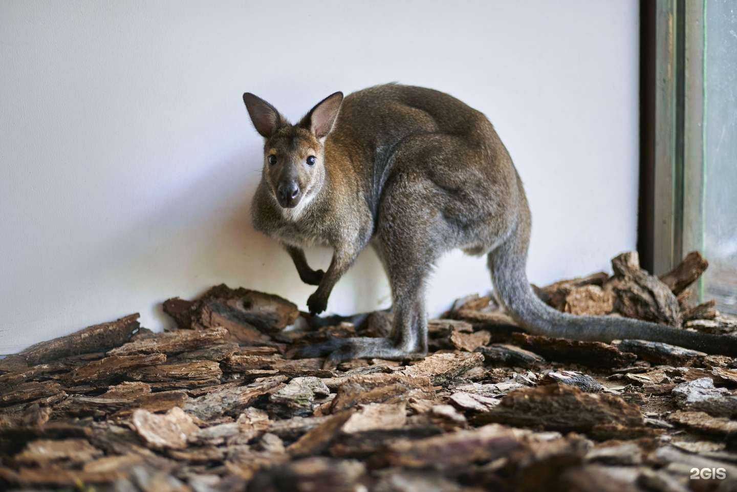 Отзывы на компанию Лесная Братва в Екатеринбурге c фото