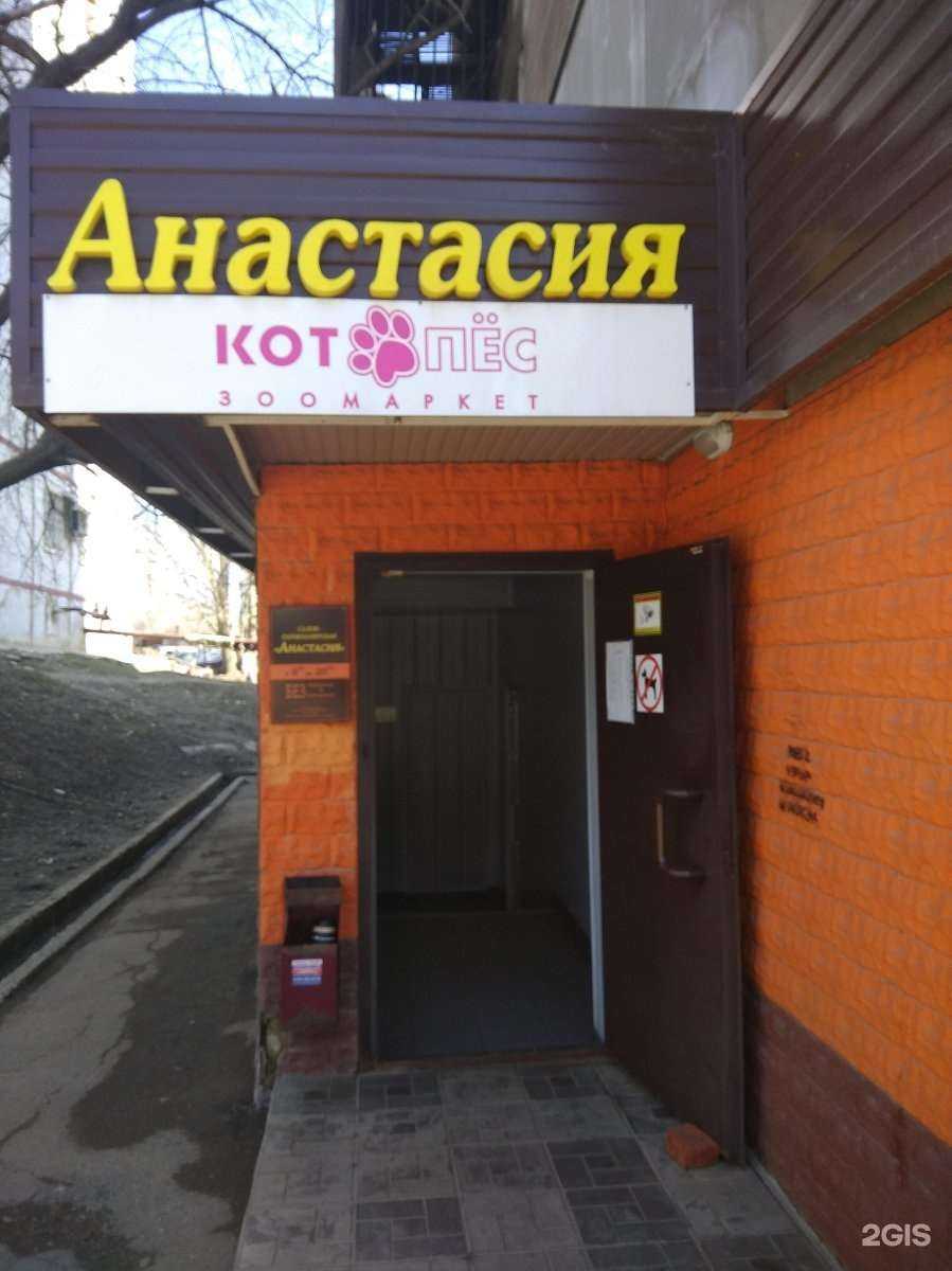 Отзывы на компанию Котопёс в г. Саратов c фото