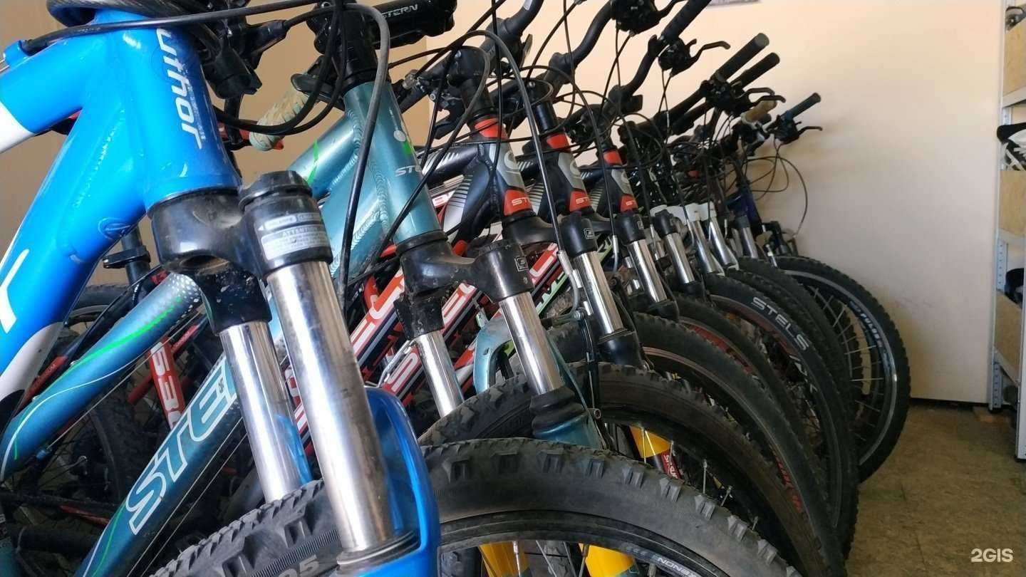 Отзывы на компанию Центр проката спортивного снаряжения в Новокуйбышевске c фото