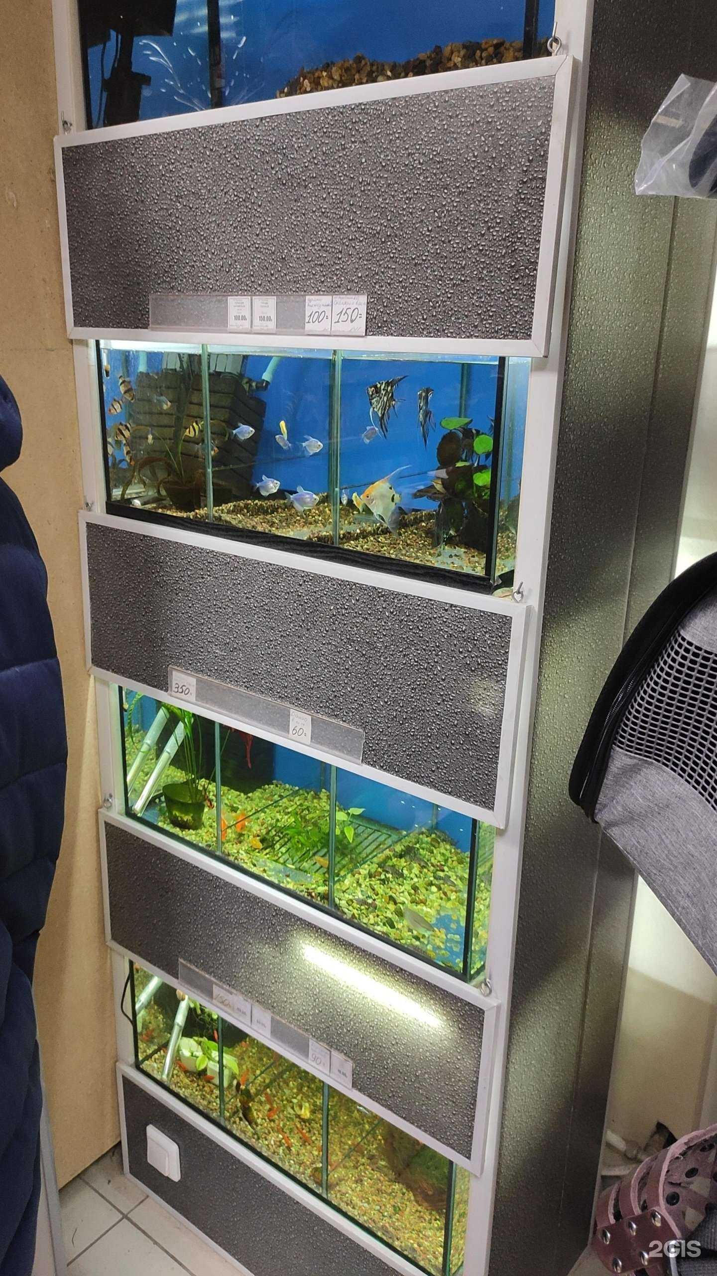 Отзывы на компанию Магазин зоотоваров в Перми c фото