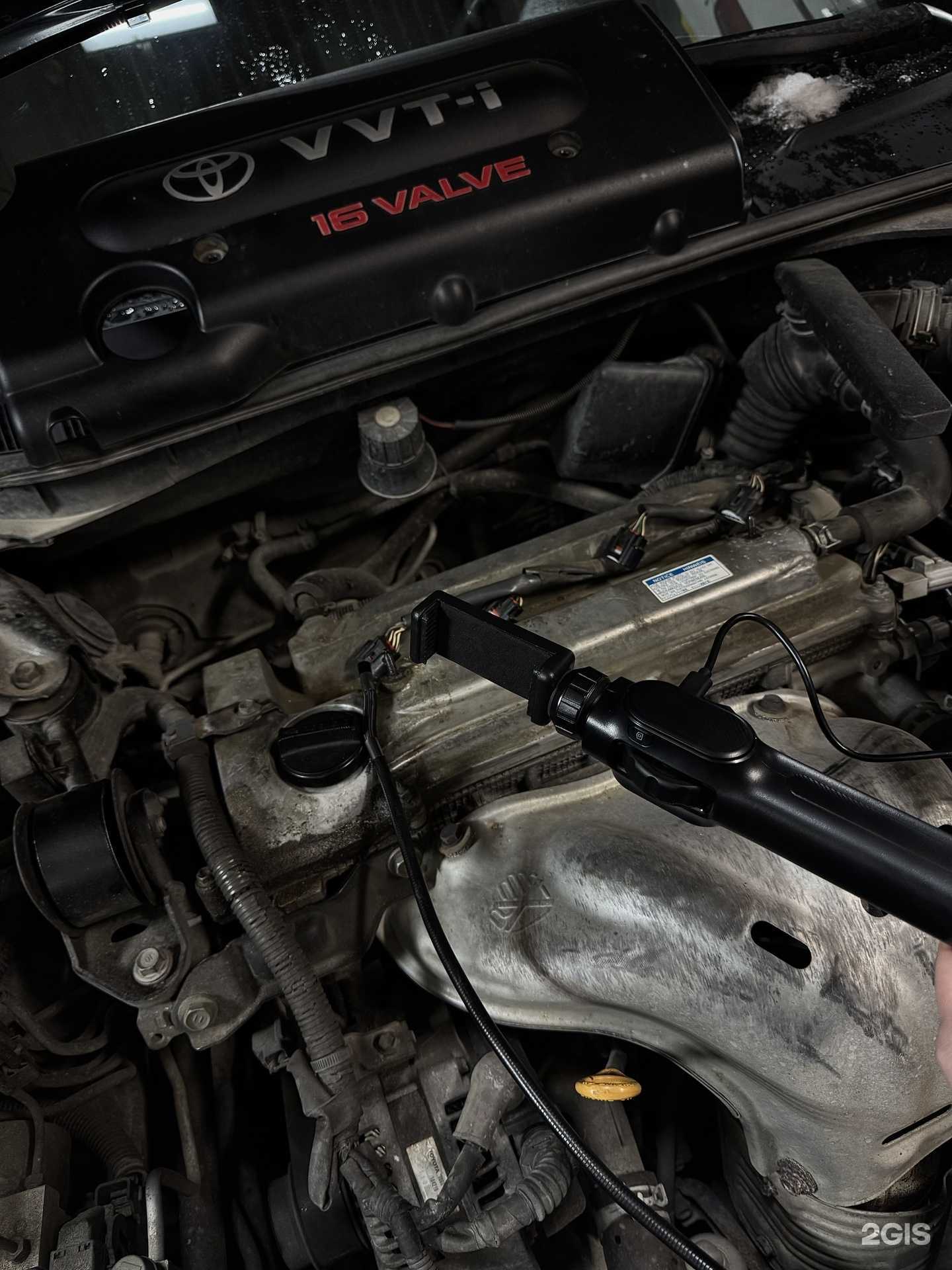 Отзывы на компанию Boston в Нижневартовске c фото