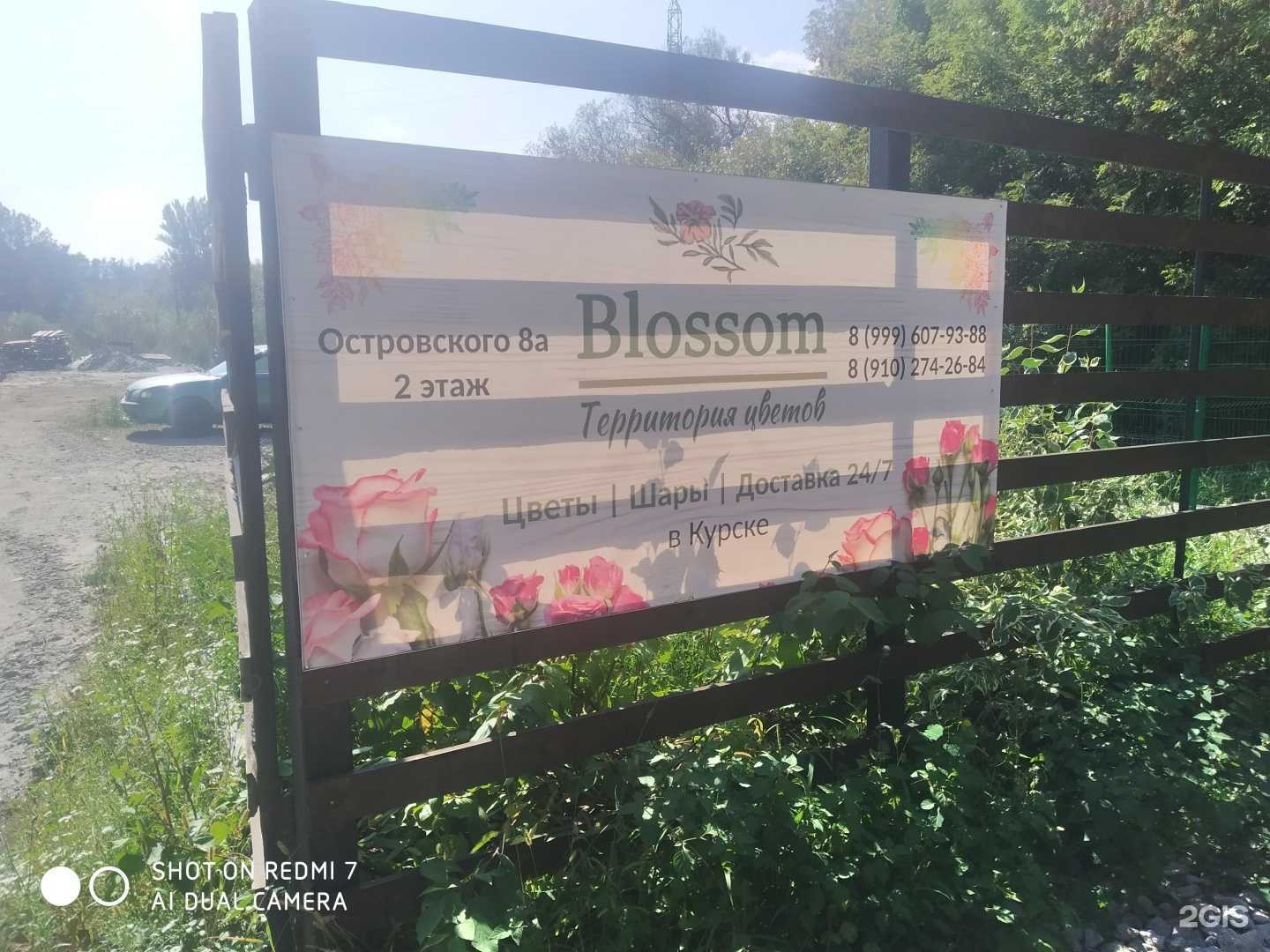 Отзывы на компанию Blossom в г. Курск c фото