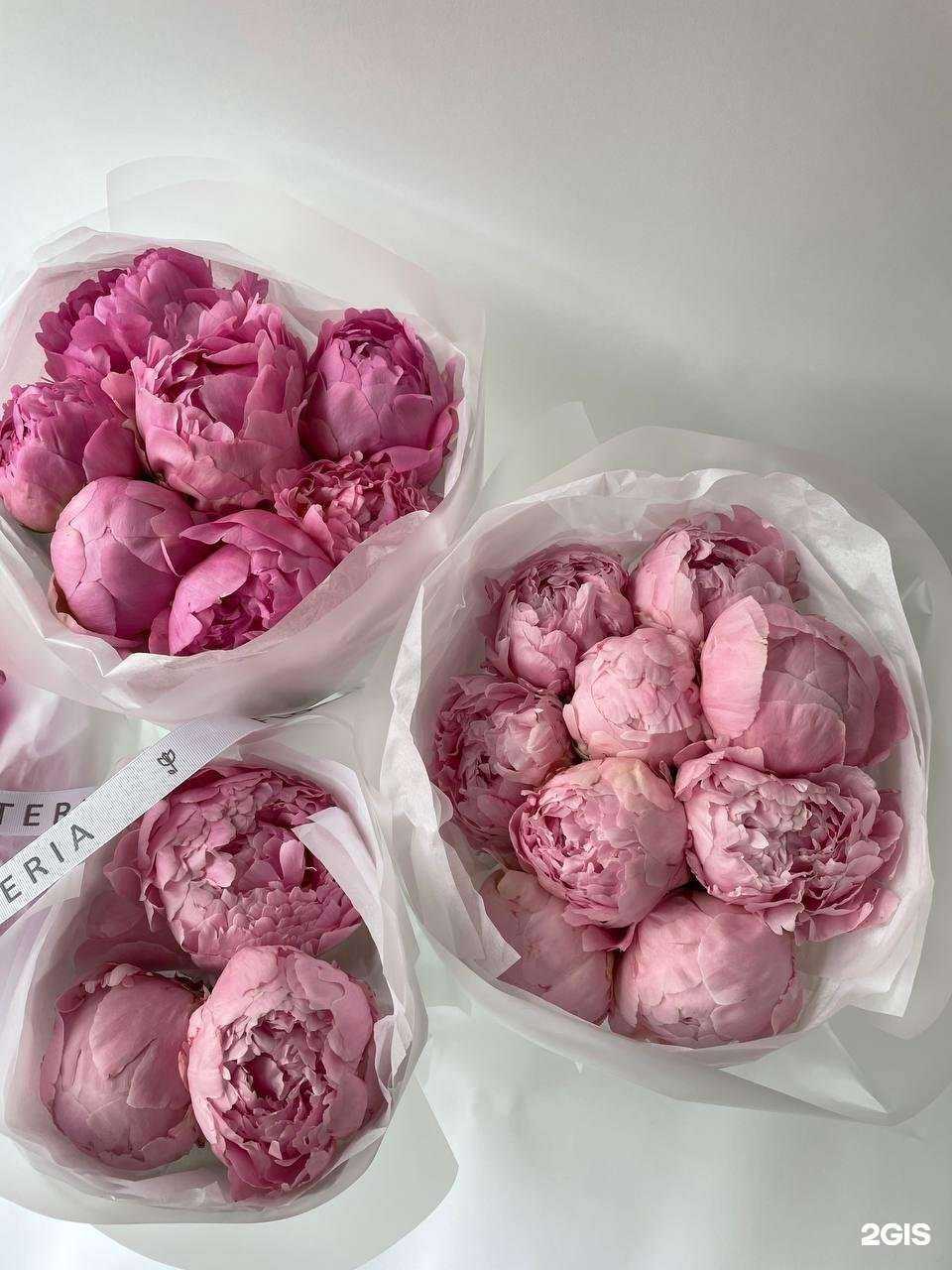 Отзывы на компанию Floristeria в Новосибирске c фото