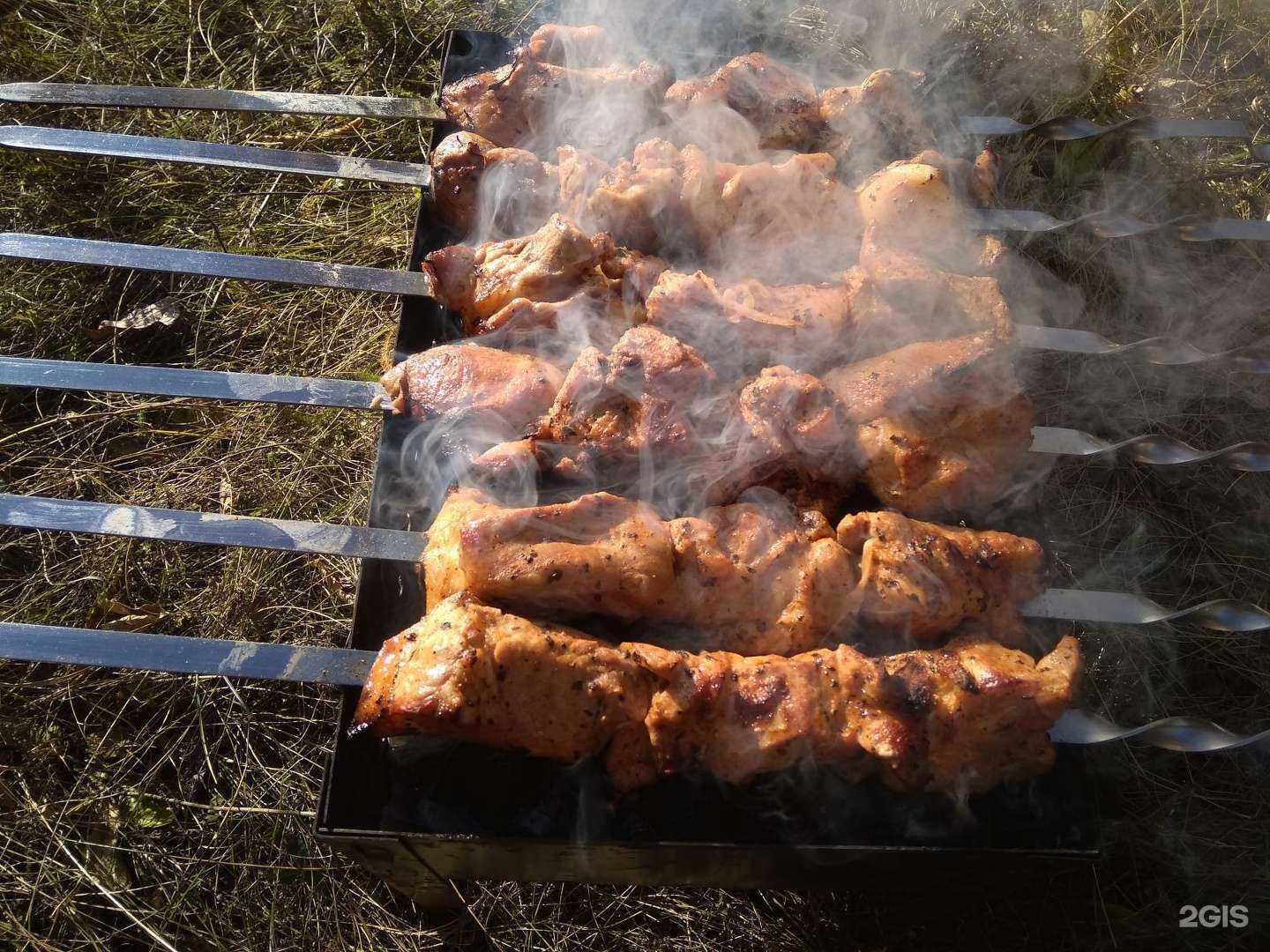 Отзывы на компанию Пикник в Барнауле c фото