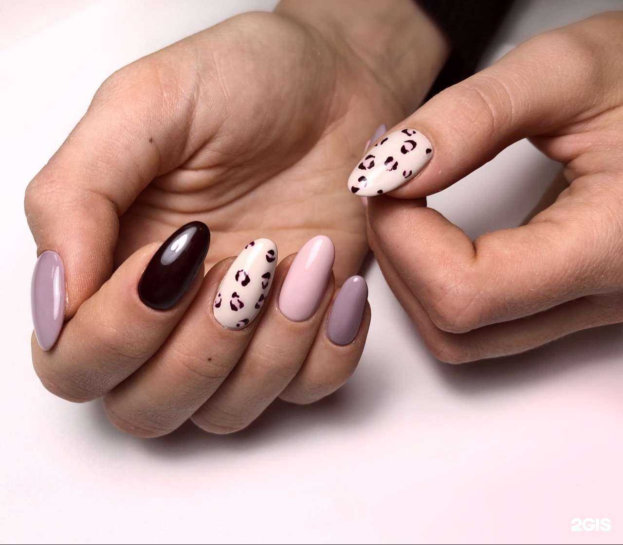 Отзывы на компанию Alba Studio в г. Омск c фото