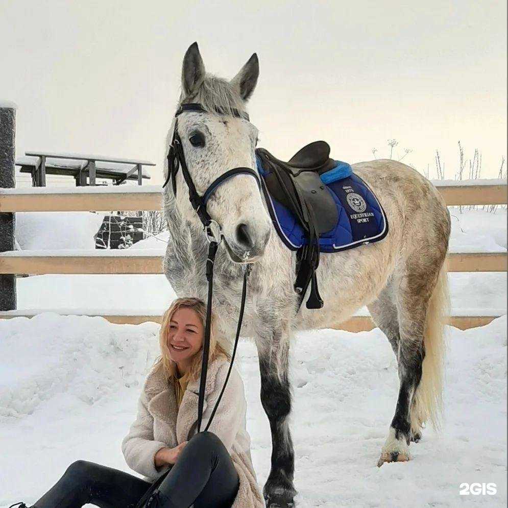 Отзывы на компанию Фортуна в Апатитах c фото