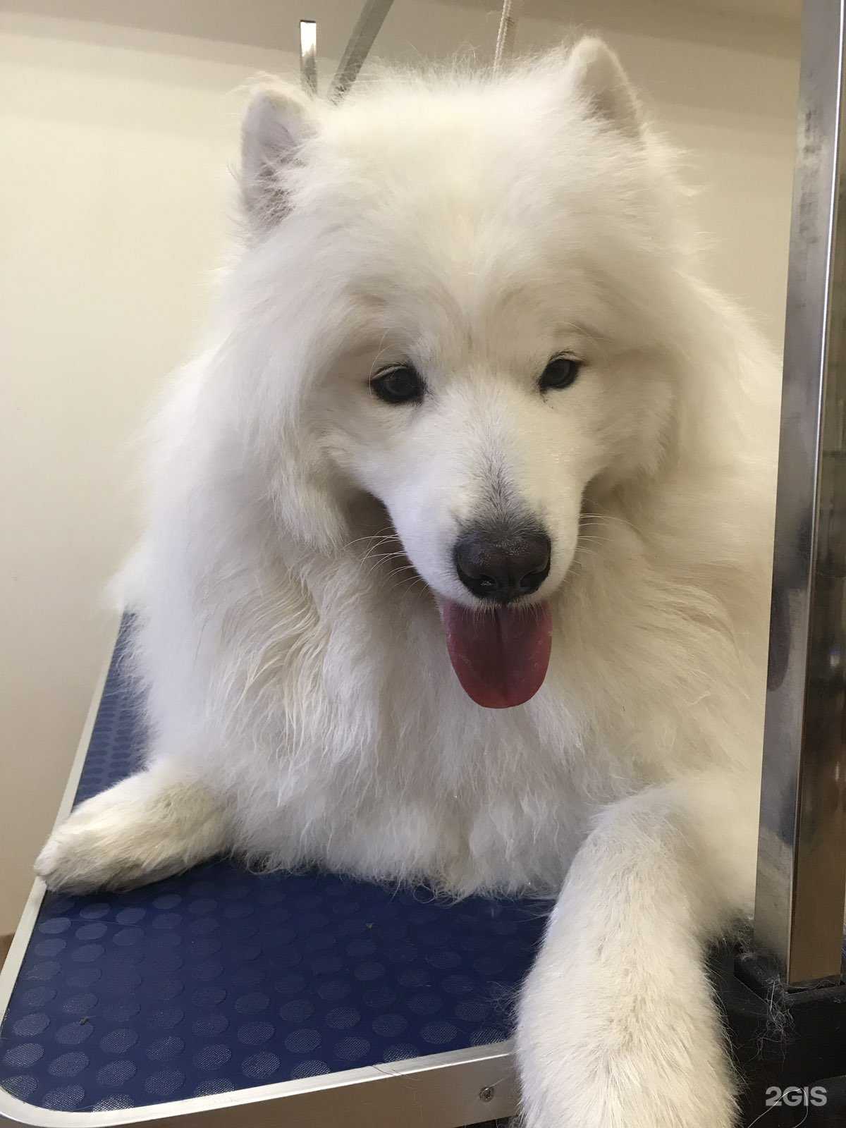 Отзывы на компанию Рекс в г. Петрозаводск c фото