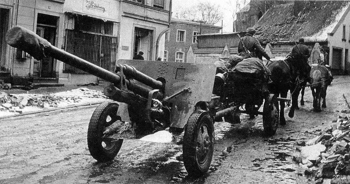 Отзывы на компанию Устьинский ветеринарный участок в г. Сосновый Бор c фото