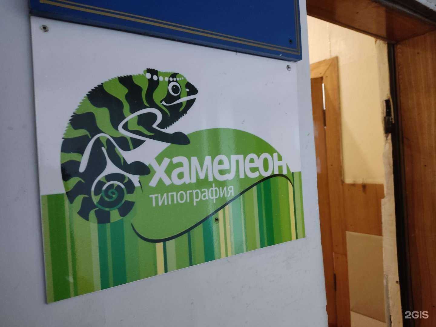 Отзывы на компанию Хамелеон в Барнауле c фото