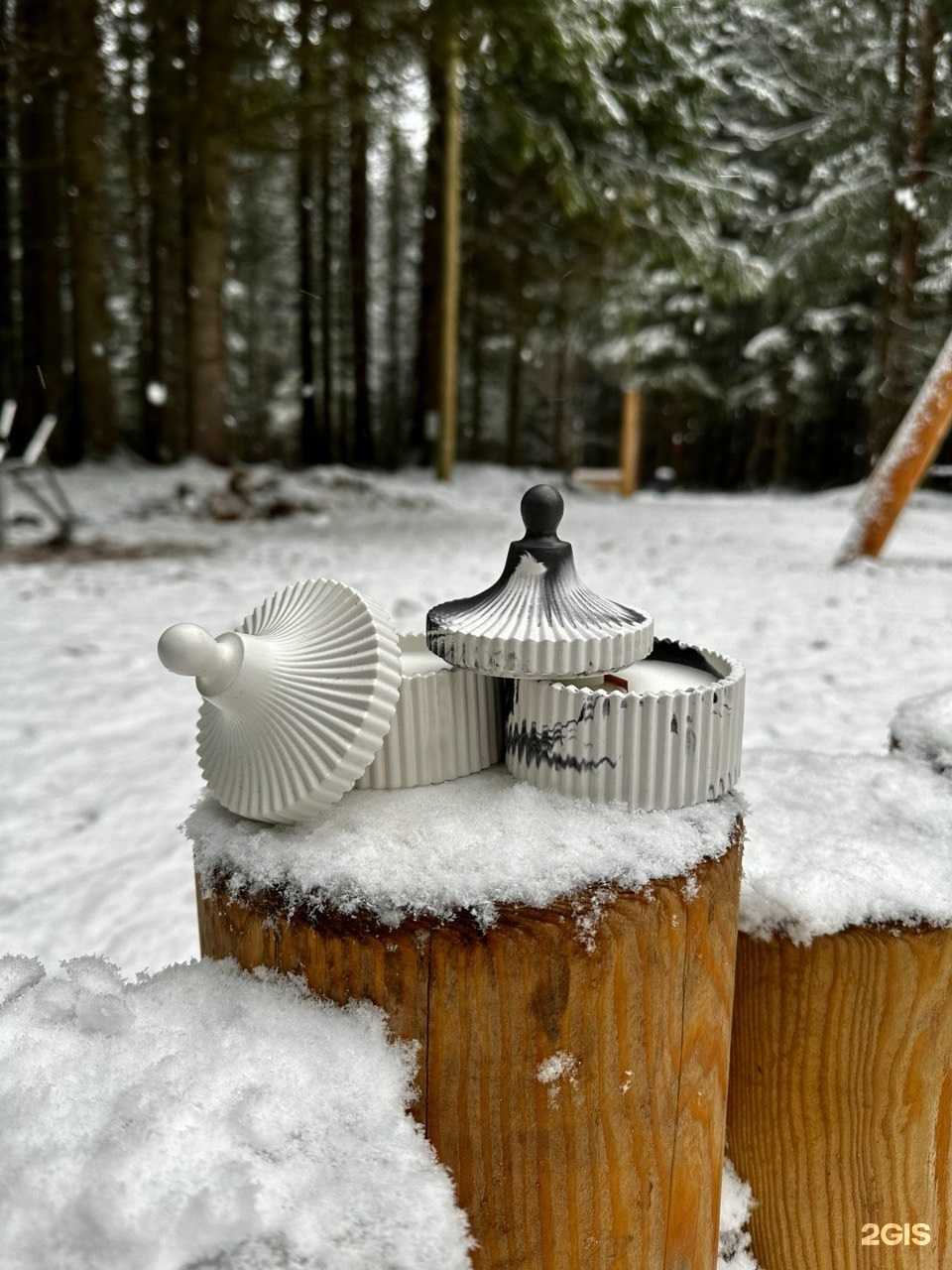 Отзывы на компанию Mira в Сыктывкаре c фото