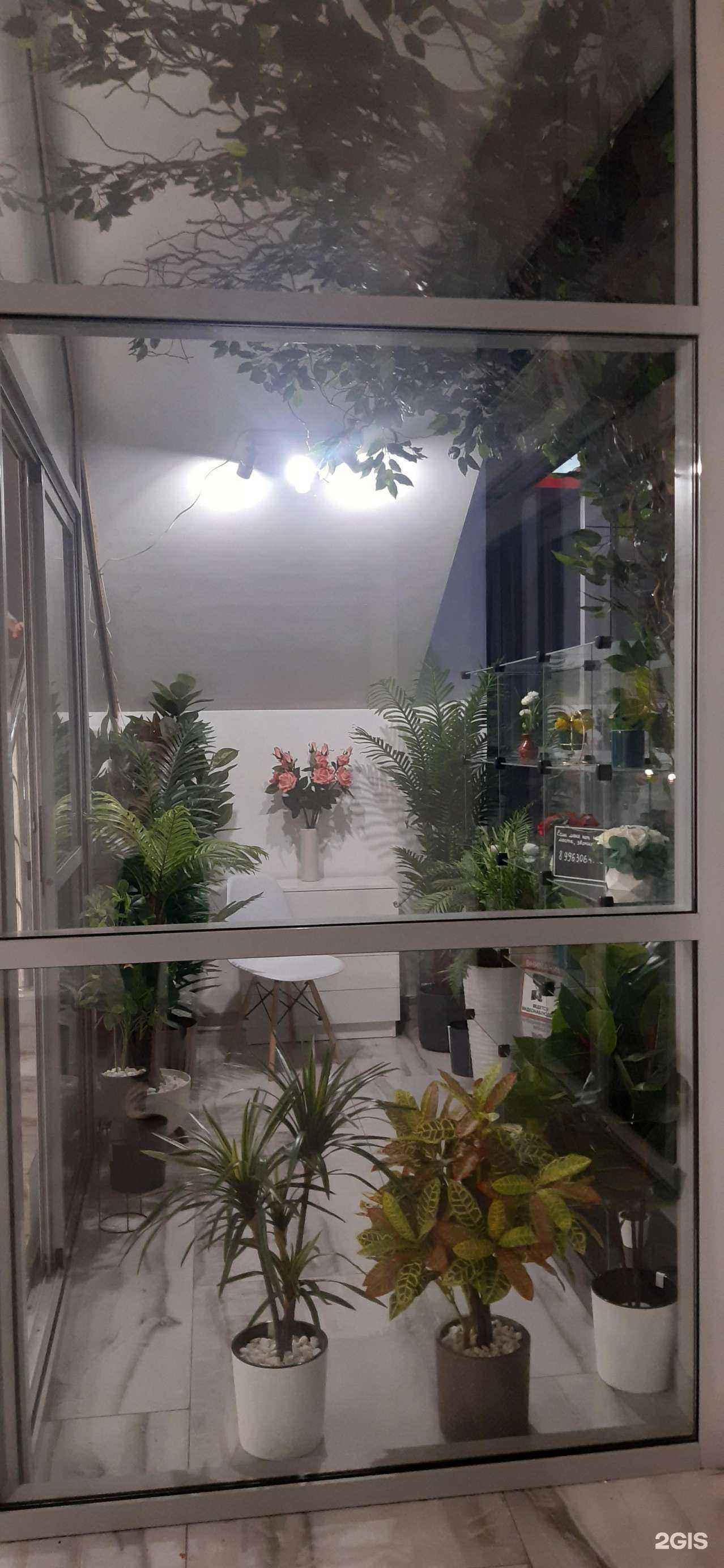 Отзывы на компанию Фикус в Каспийске c фото