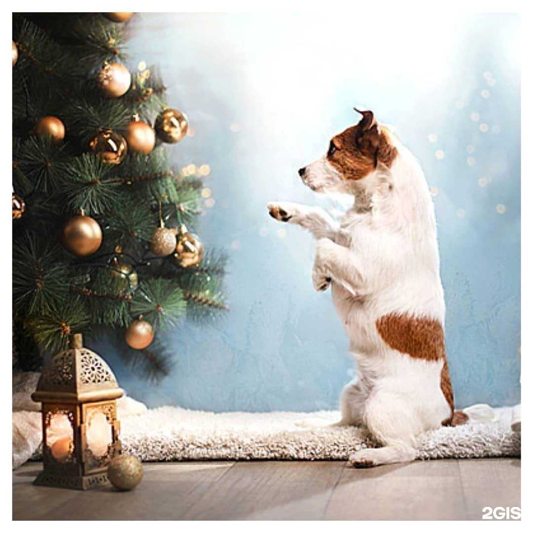 Отзывы на компанию Поиск в г. Саратов c фото