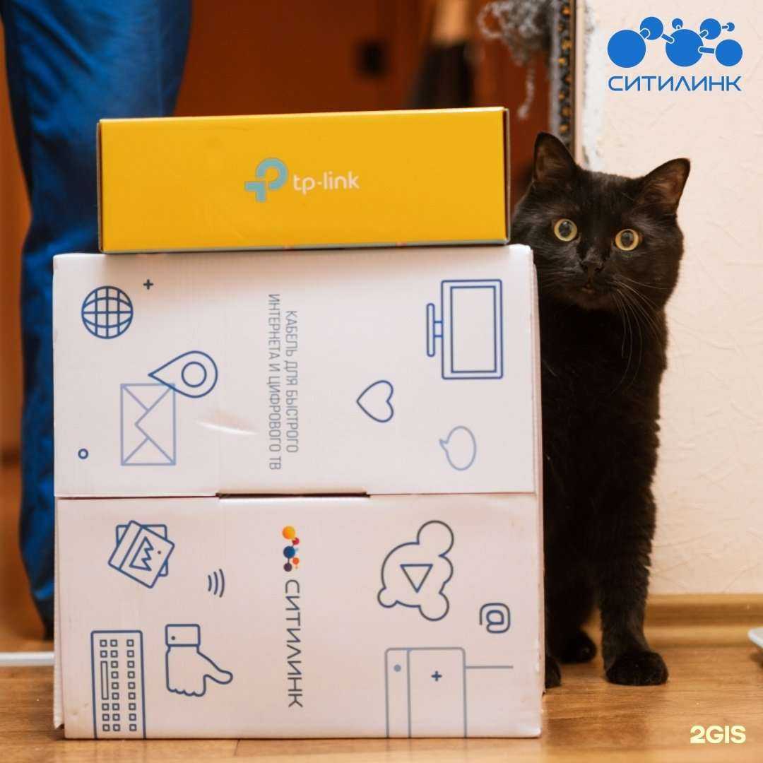 Отзывы на компанию Ситилинк в Мурманске c фото