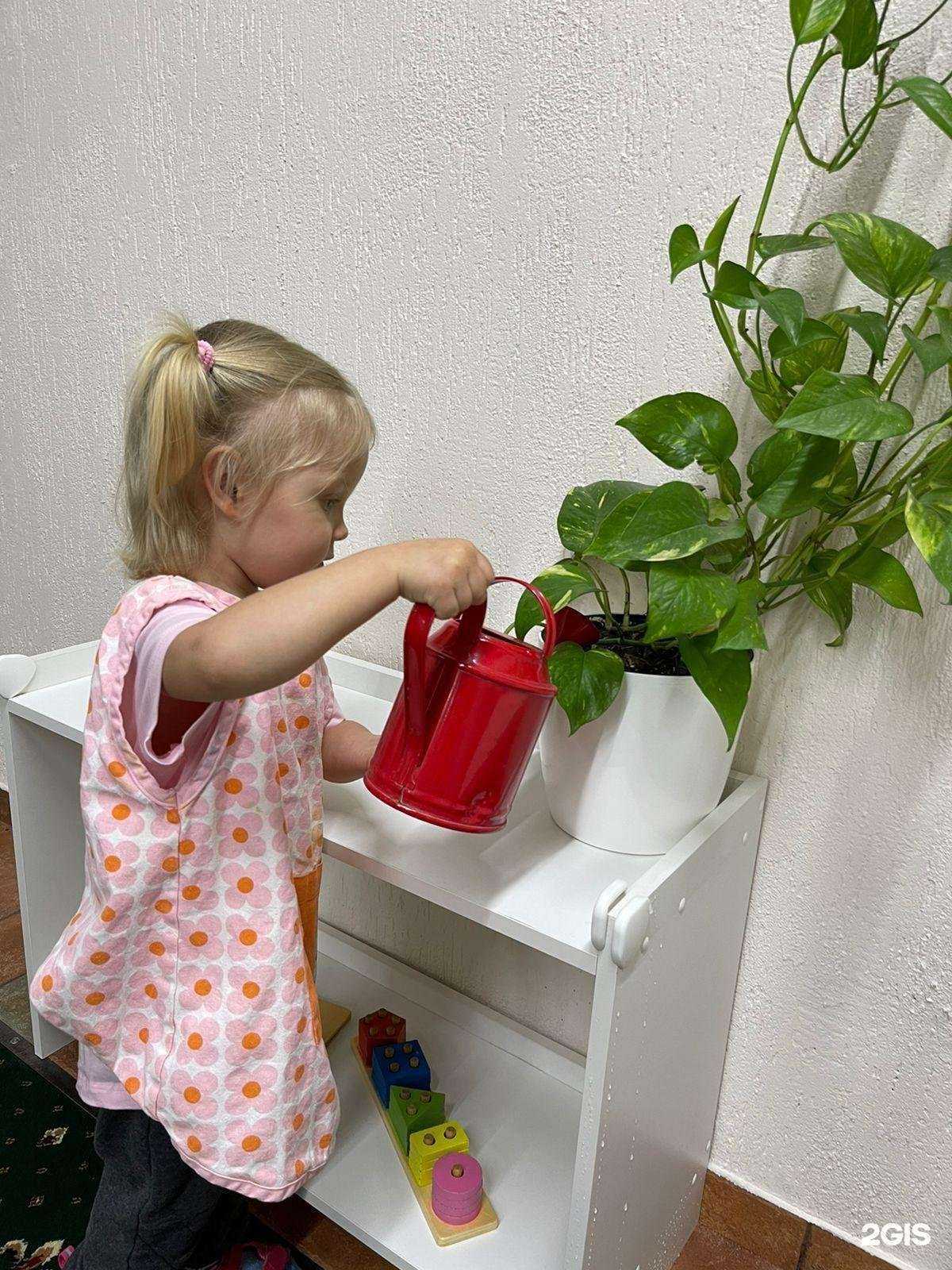 Отзывы на компанию Город Солнца в Сочи c фото