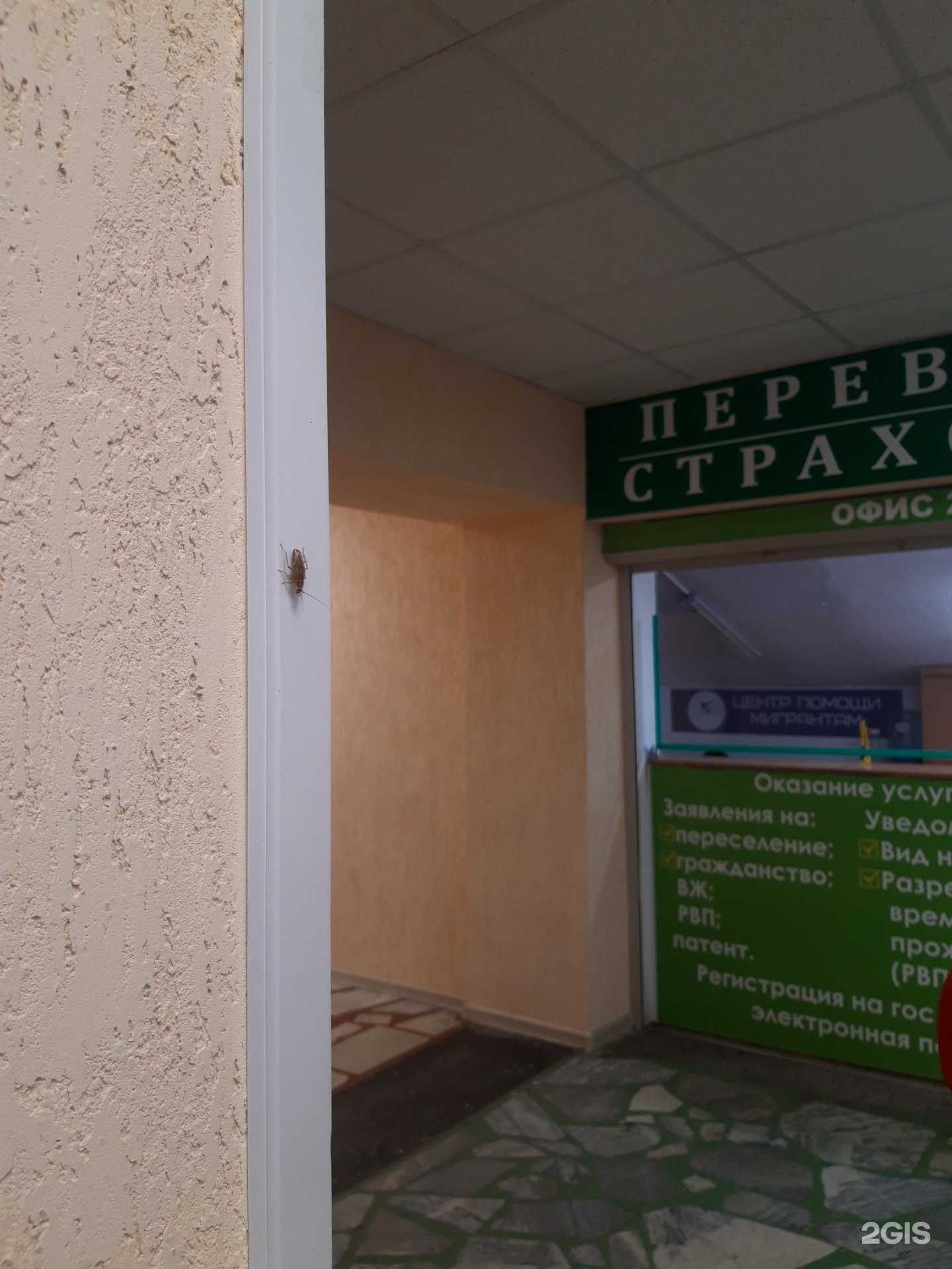 Отзывы на компанию Ал-Барака 2 в г. Екатеринбург c фото