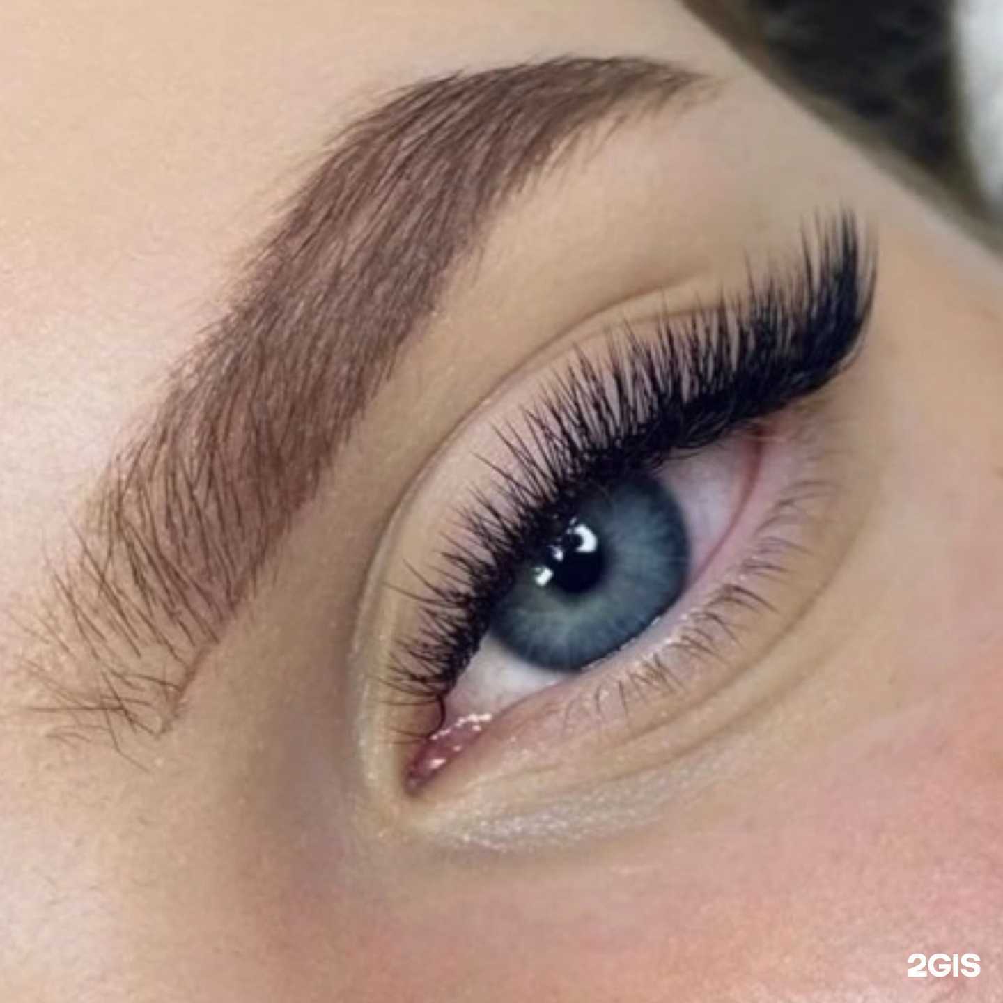 Отзывы на компанию Anilesh в г. Тюмень c фото