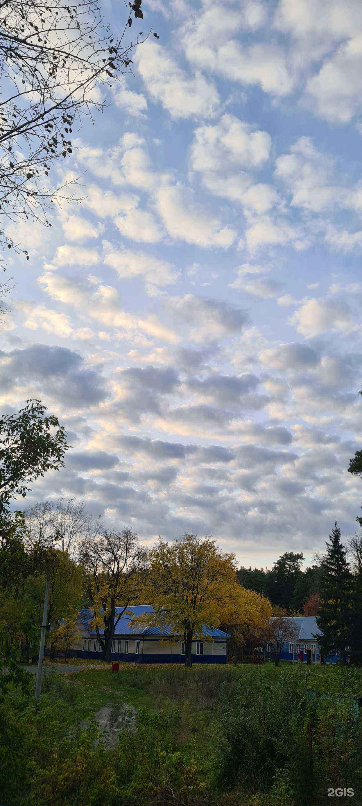 Отзывы на компанию Лазурный в г. Бердск c фото