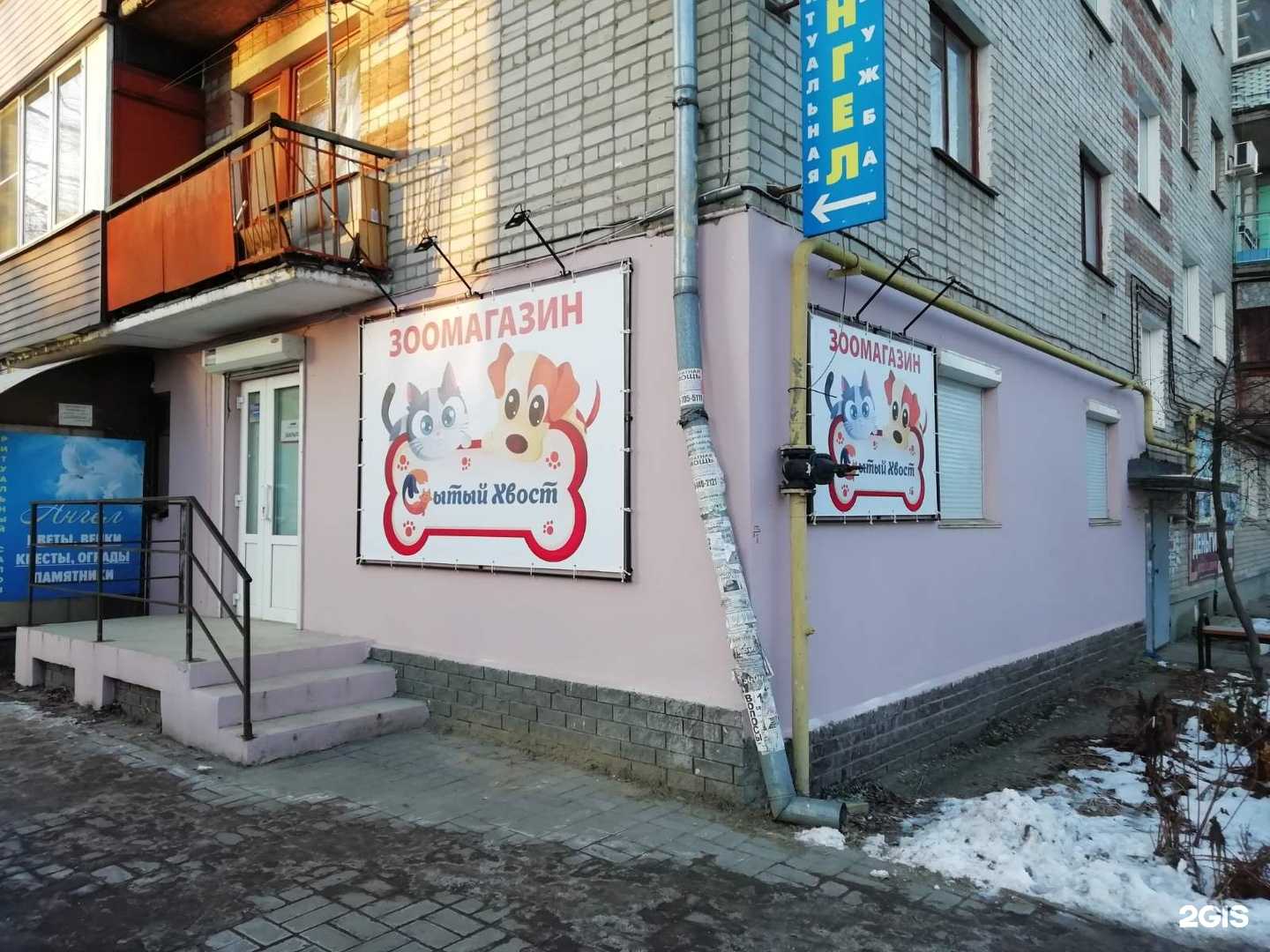 Отзывы на компанию Сытый хвост в Боре c фото