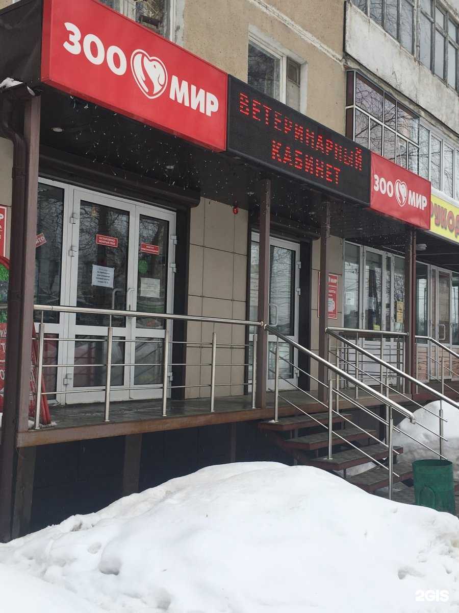 Отзывы на компанию ЗооМир в г. Саранск c фото