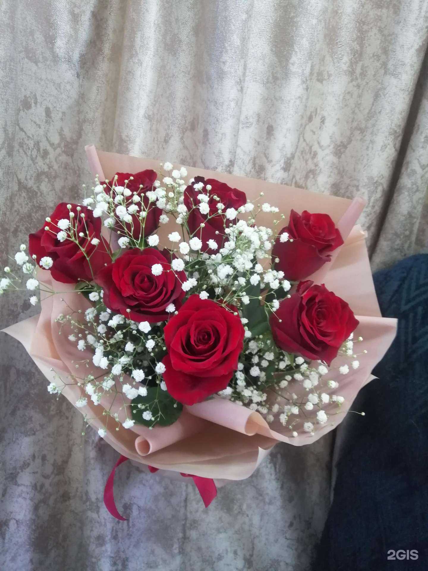 Отзывы на компанию Ирис в Сызрани c фото