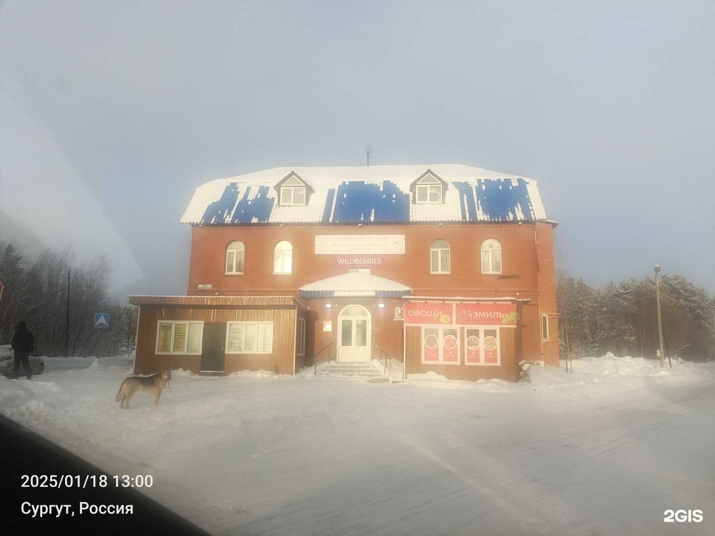 Отзывы на компанию Туман в Сургуте c фото