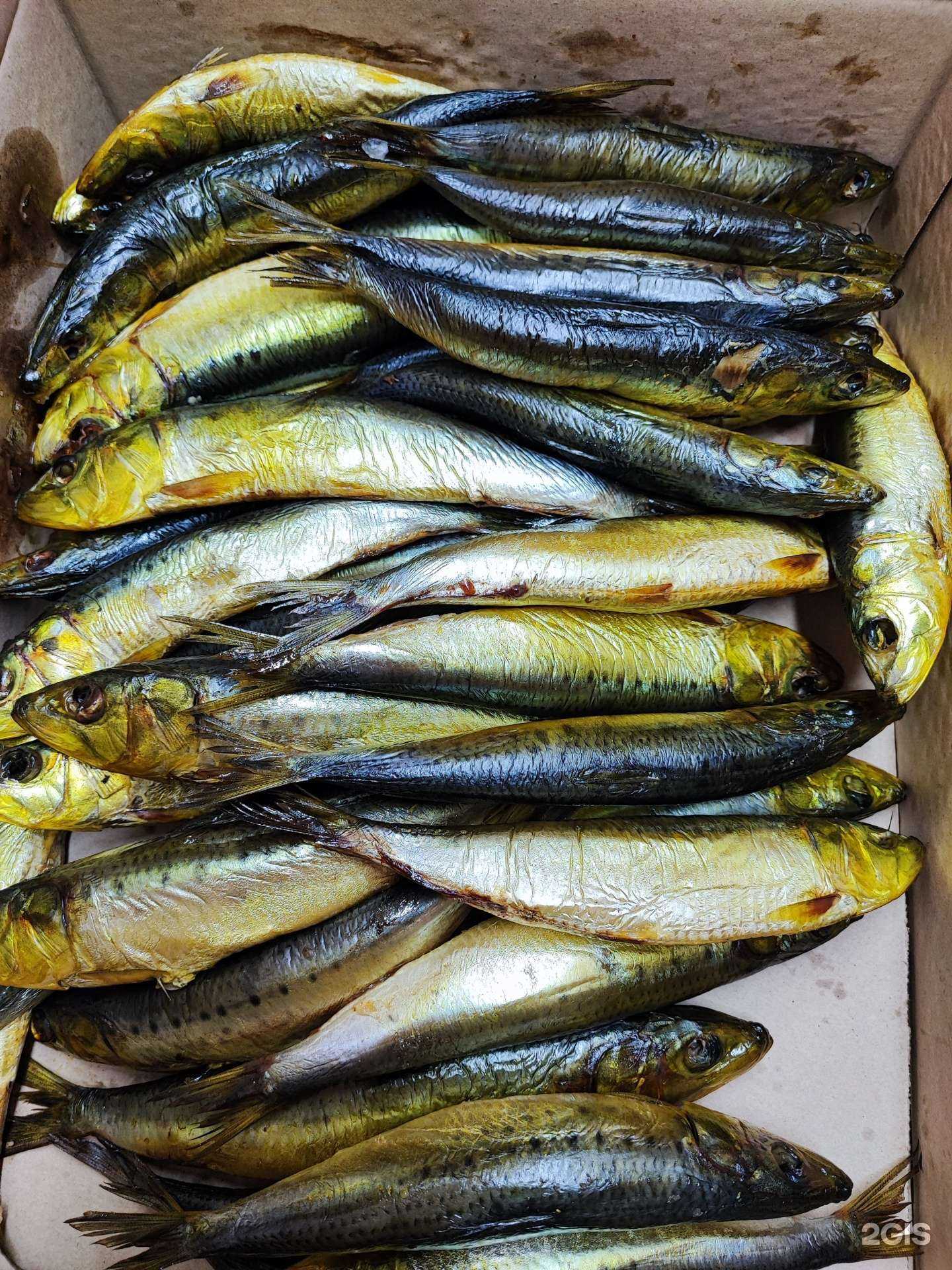 Отзывы на компанию Рыбный день в Улан-Удэ c фото