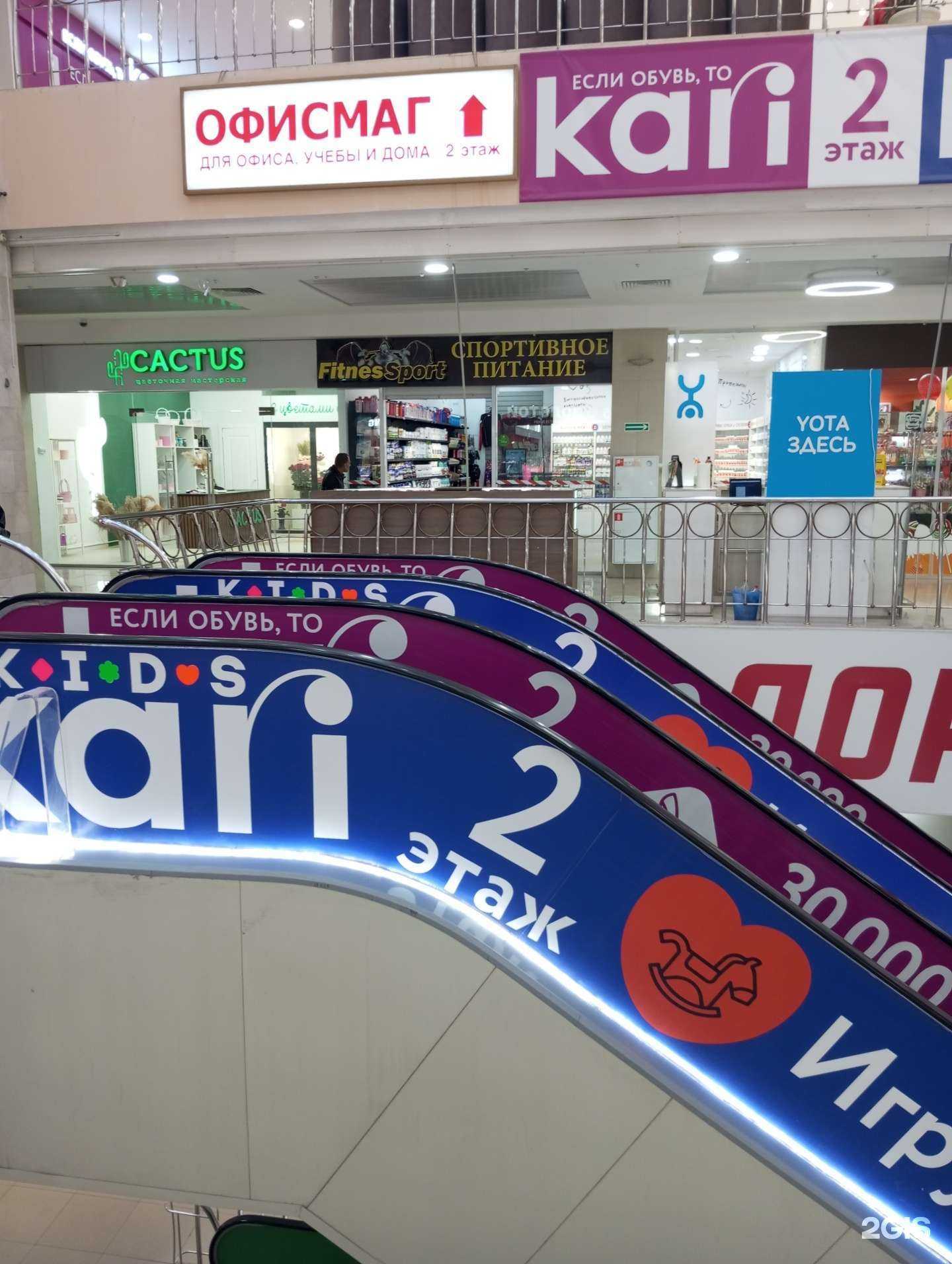 Отзывы на компанию Cactus в Курске c фото