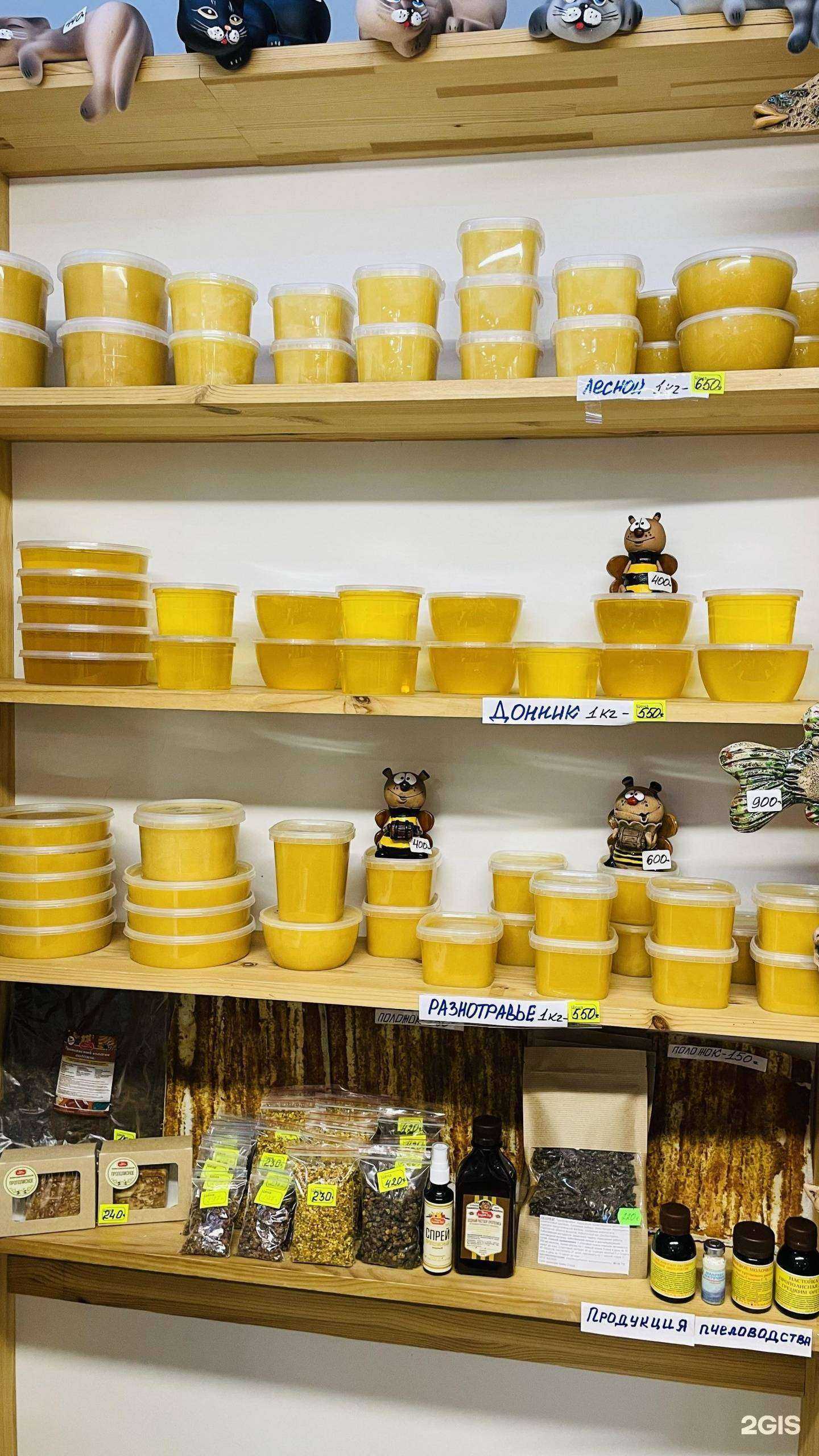 Отзывы на компанию Круг жизни в Нижнем Новгороде c фото