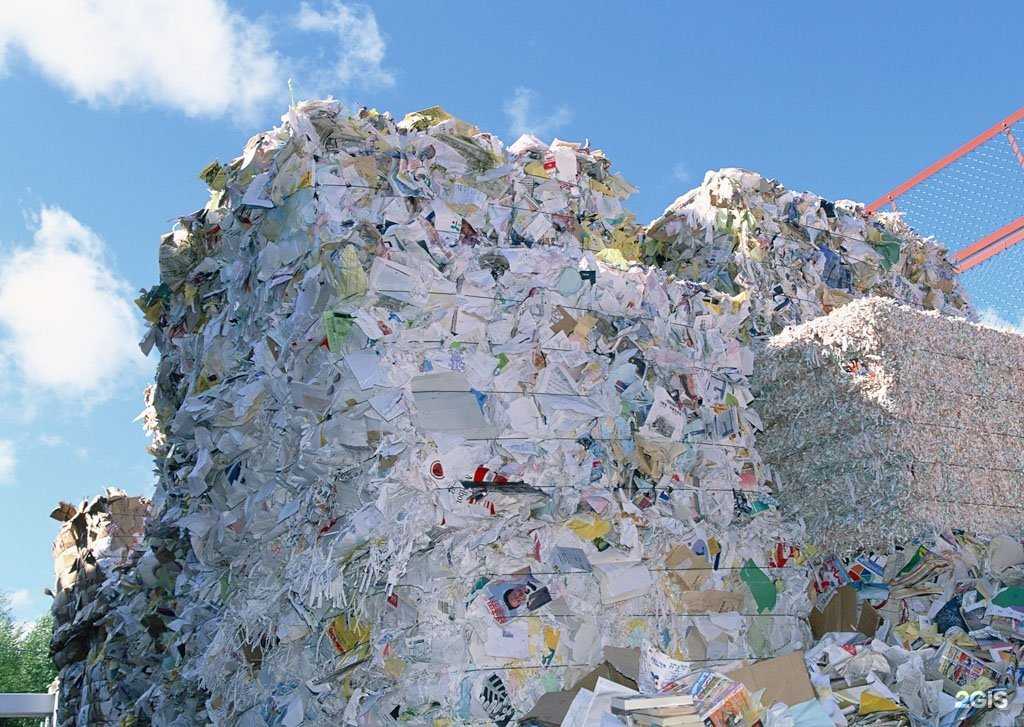 Отзывы на компанию Эколэнд в г. Новокузнецк c фото