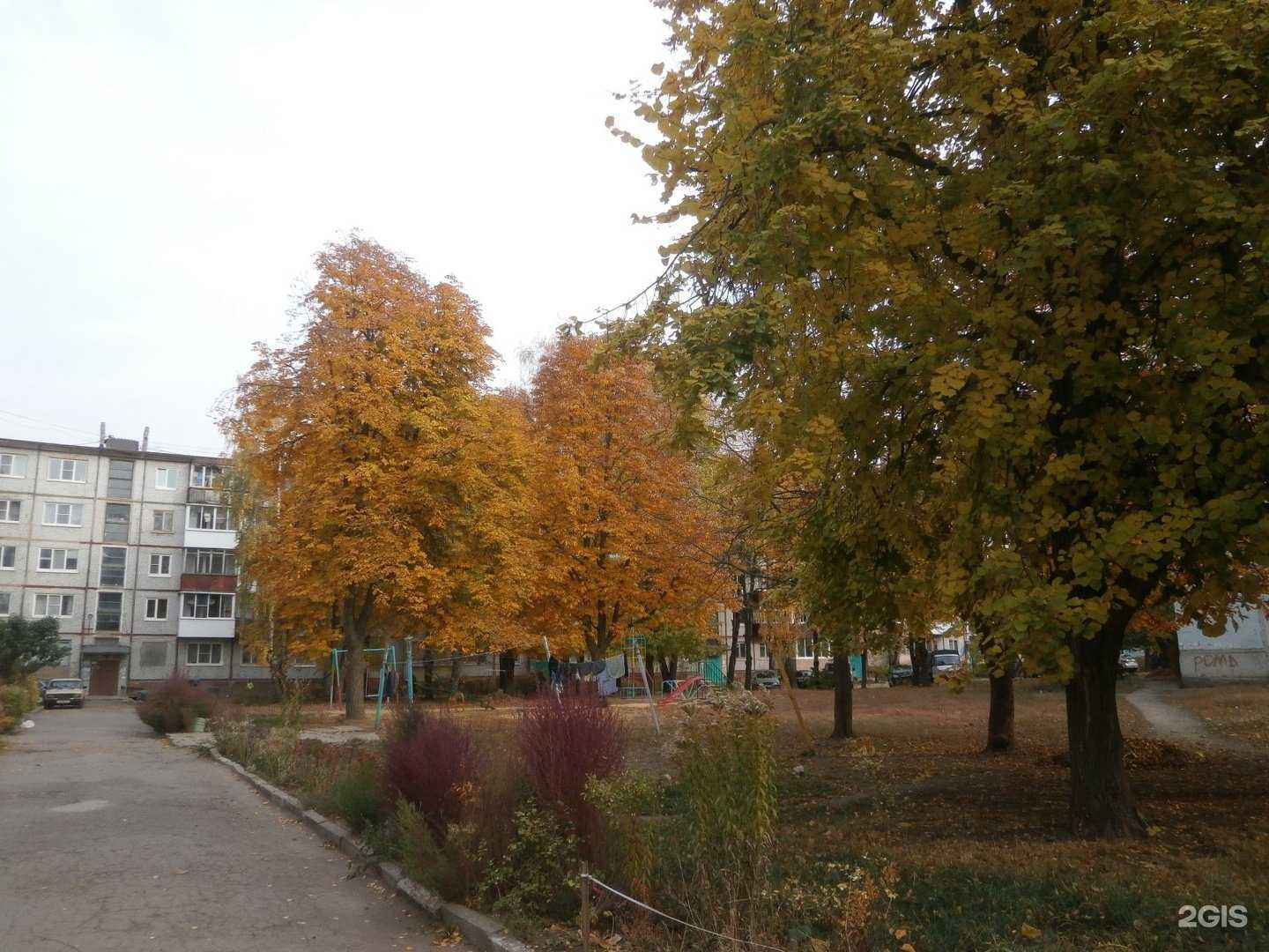 Отзывы на компанию Фасон в Новомосковске c фото - фотография 2 из 2